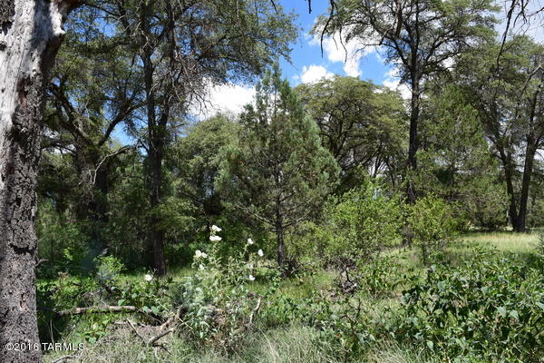 Surrounded by the most beautiful natural landscape, spacious large dark Oak, Arizona walnut and Juniper trees, this property located in the hearth of Canelo Hills, on 7.99 acres, private well, Bordering the National Forest giving access to hiking, mountain biking, horseback riding, very good for camping bring your RV. Come and see it you will enjoy it.
