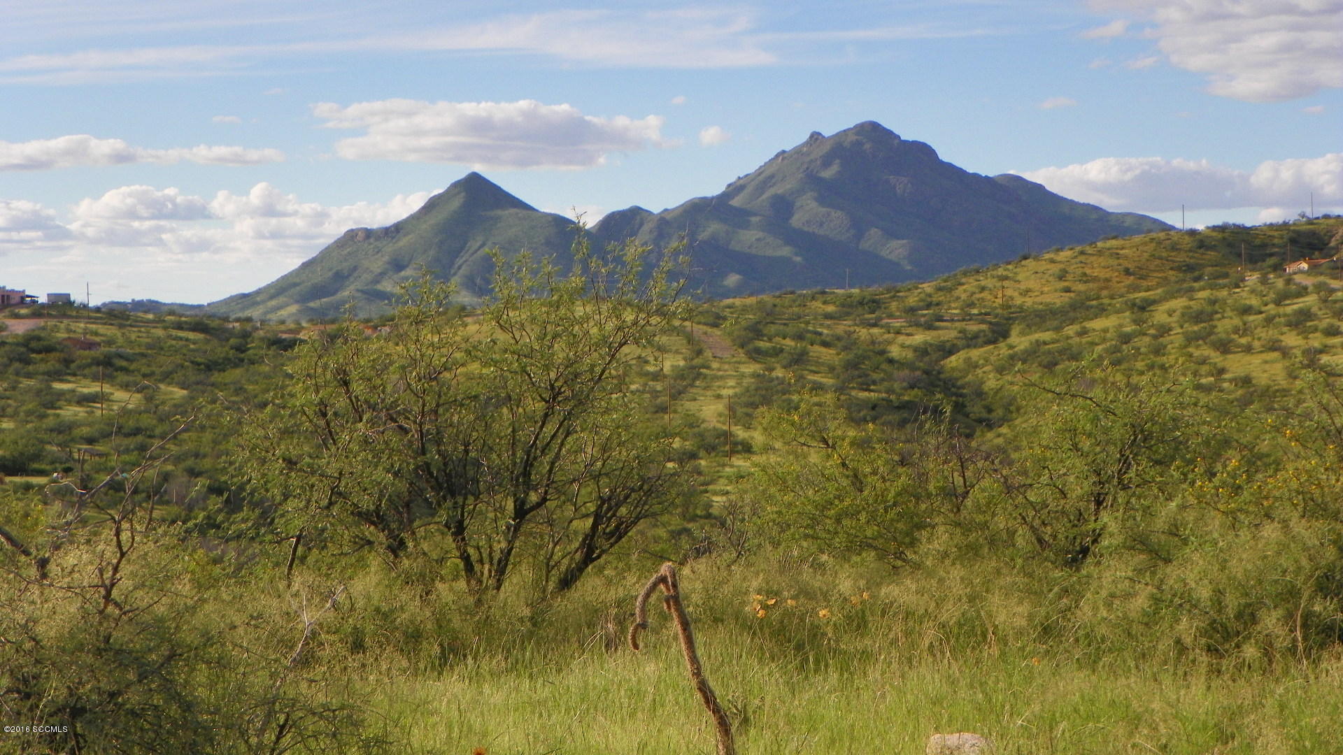 Rio Rico Ranchettes 12 - Land