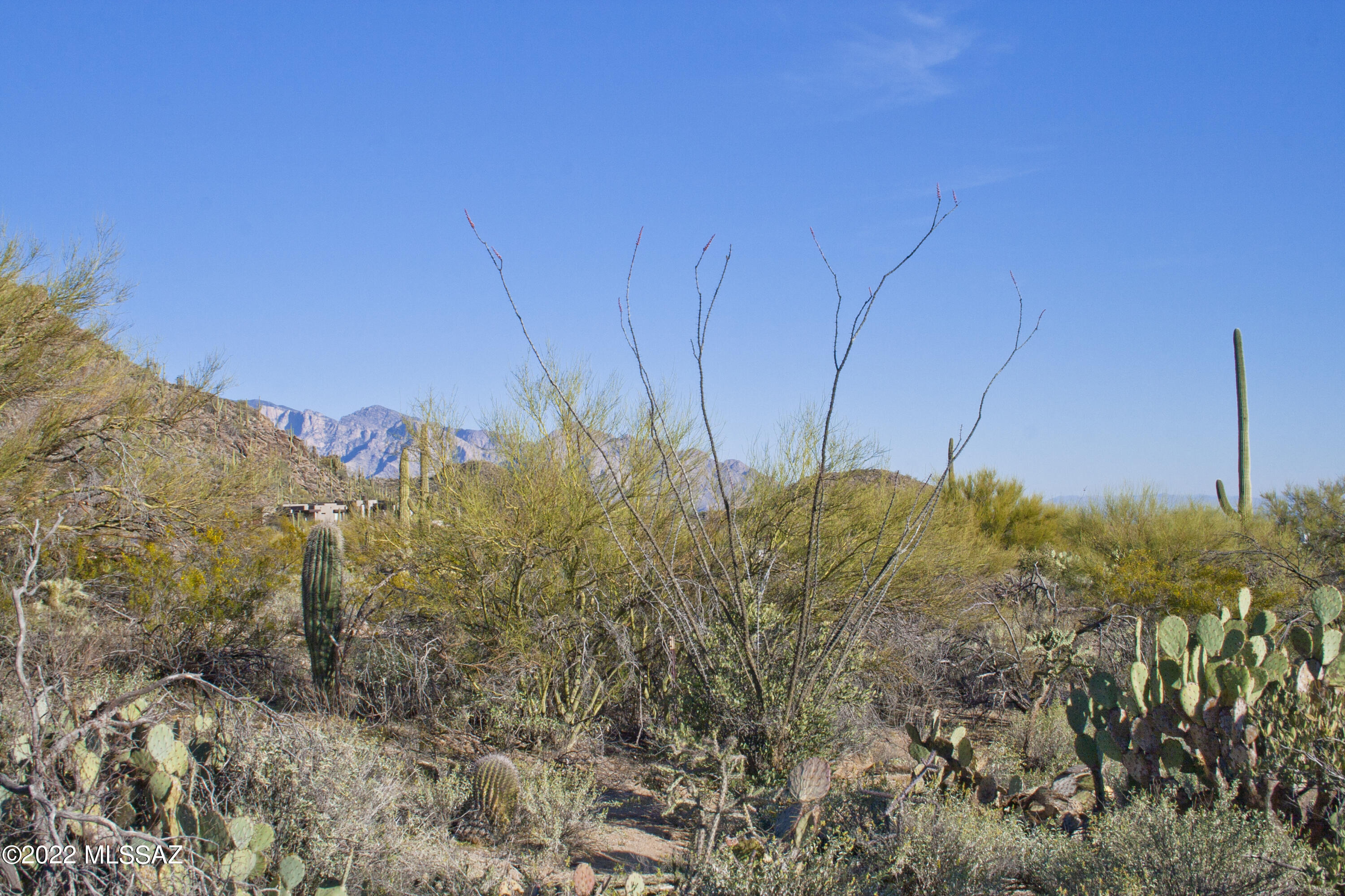 Canyon Pass IV-B At Dove Mountain - Land
