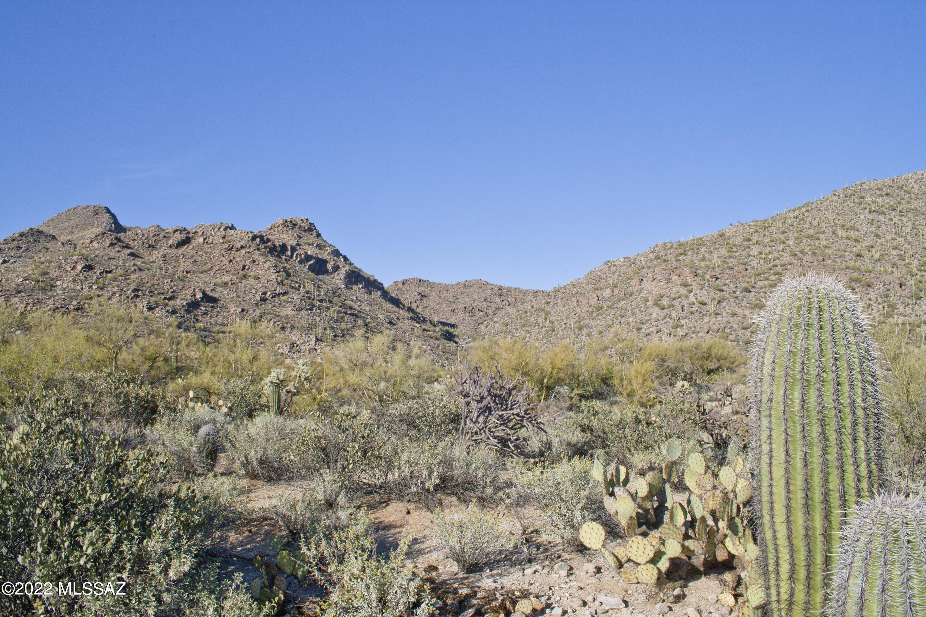 Canyon Pass IV-B At Dove Mountain - Land