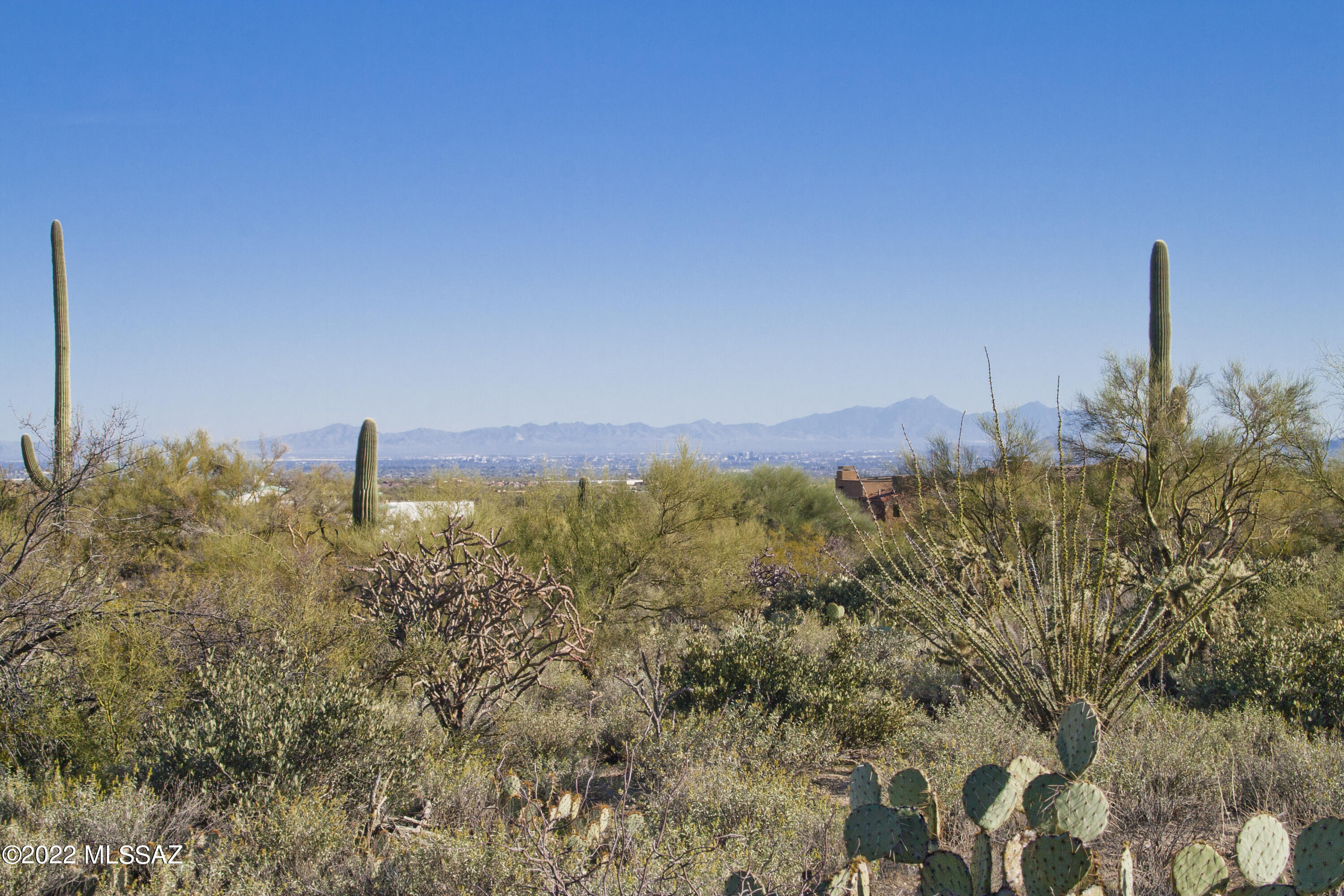 Canyon Pass IV-B At Dove Mountain - Land