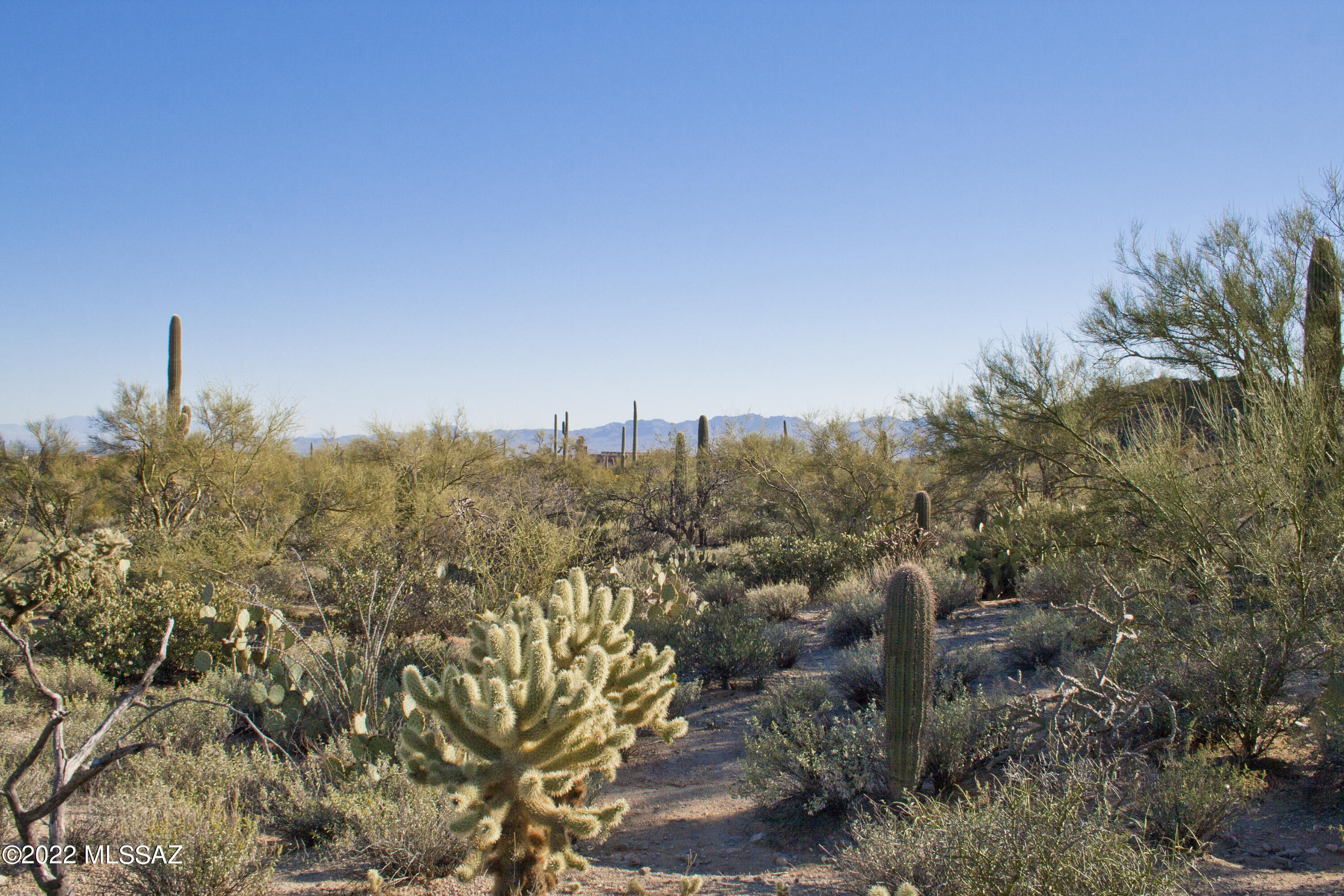 Canyon Pass IV-B At Dove Mountain - Land