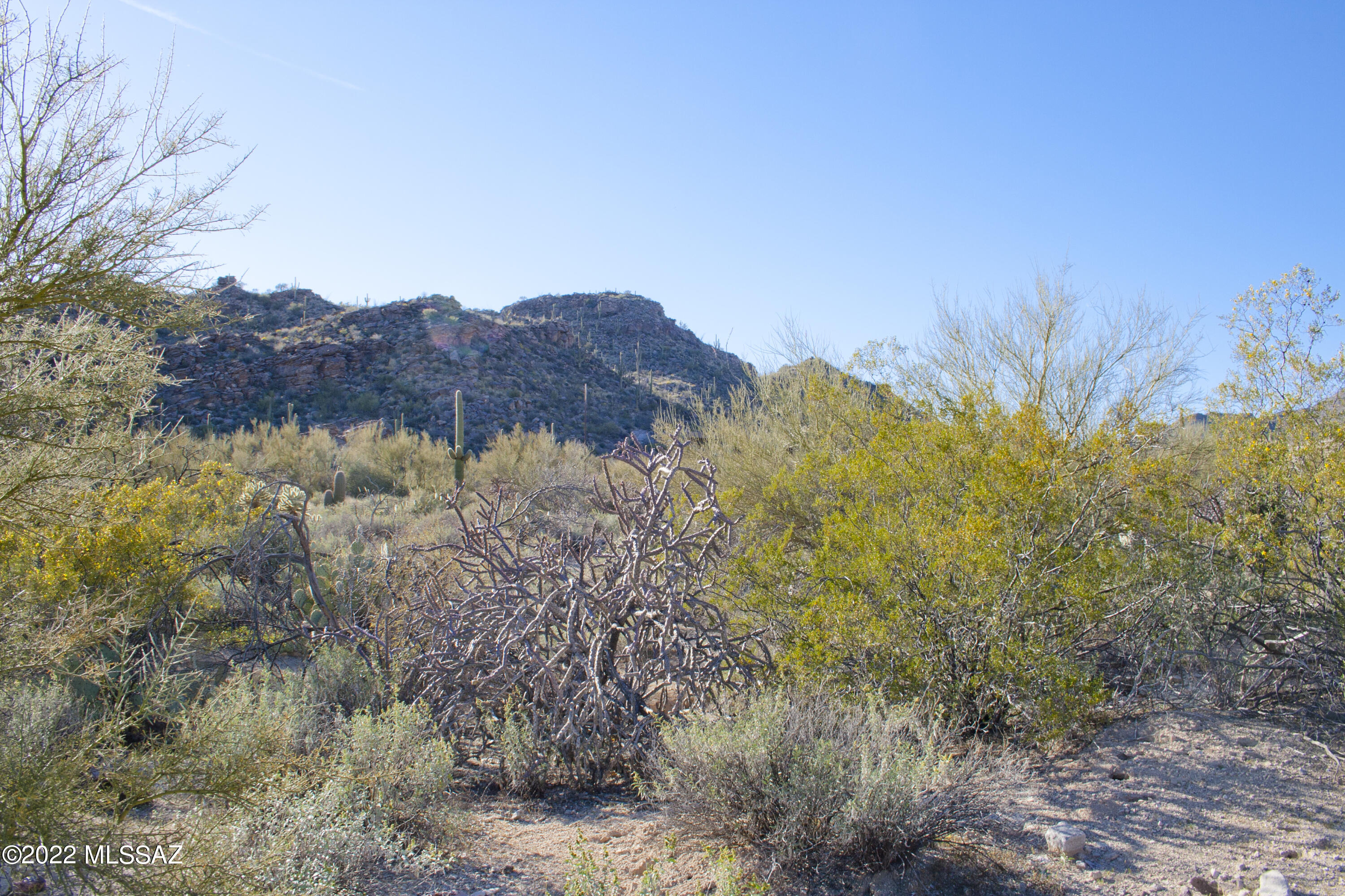 Canyon Pass IV-B At Dove Mountain - Land