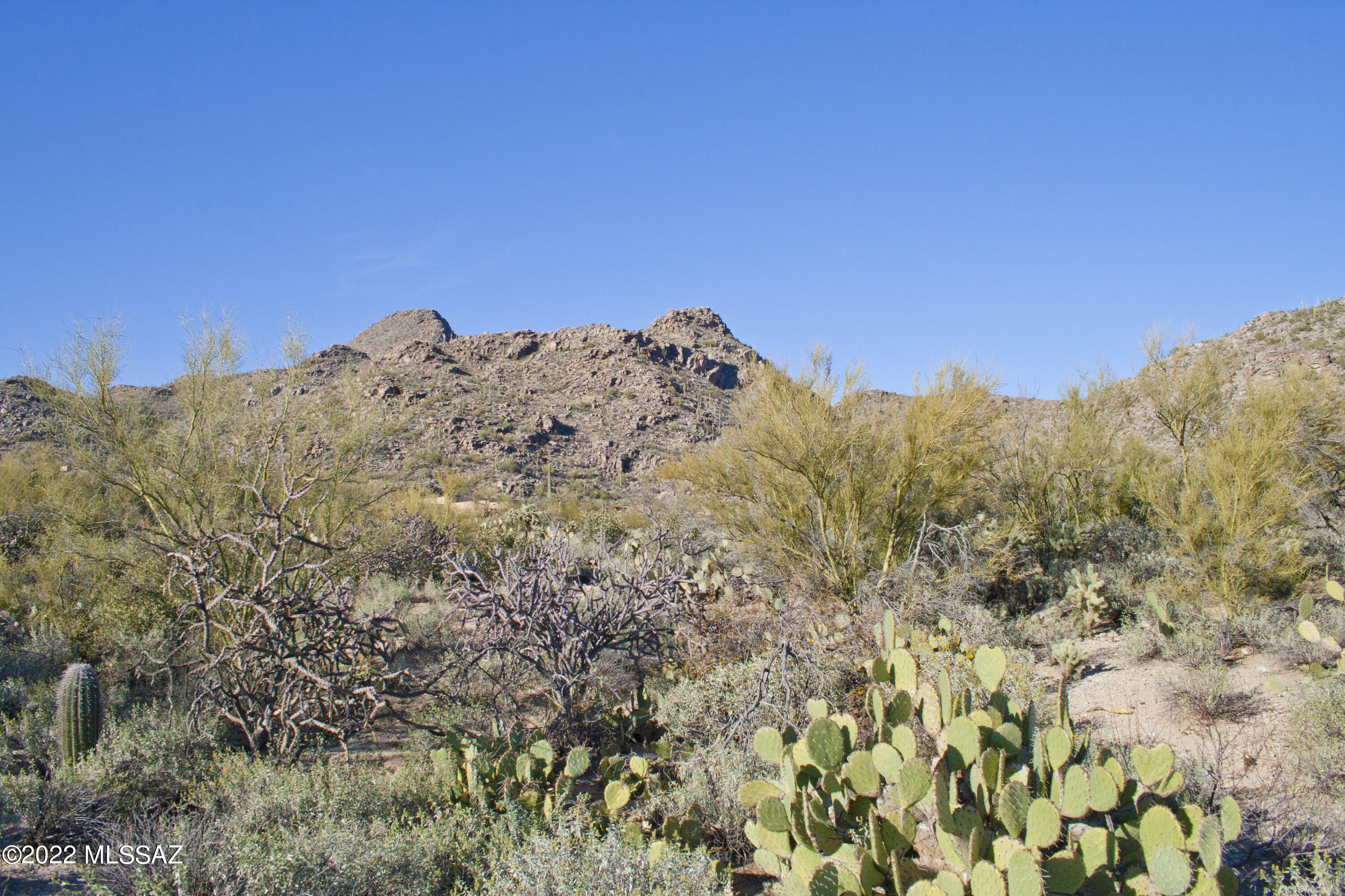 Canyon Pass IV-B At Dove Mountain - Land