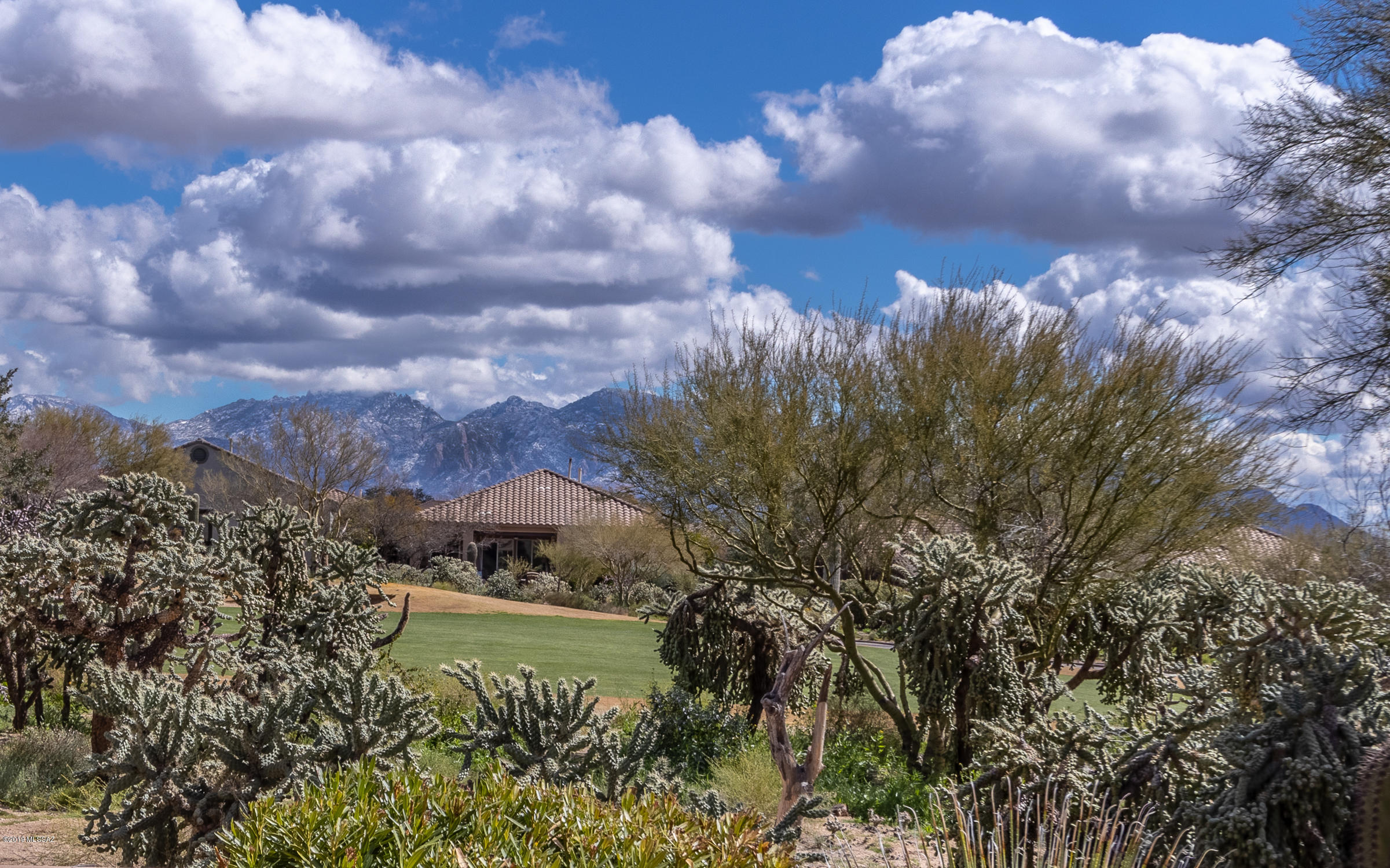 Heritage Highlands VI at Dove Mountain (977-1146) - Residential