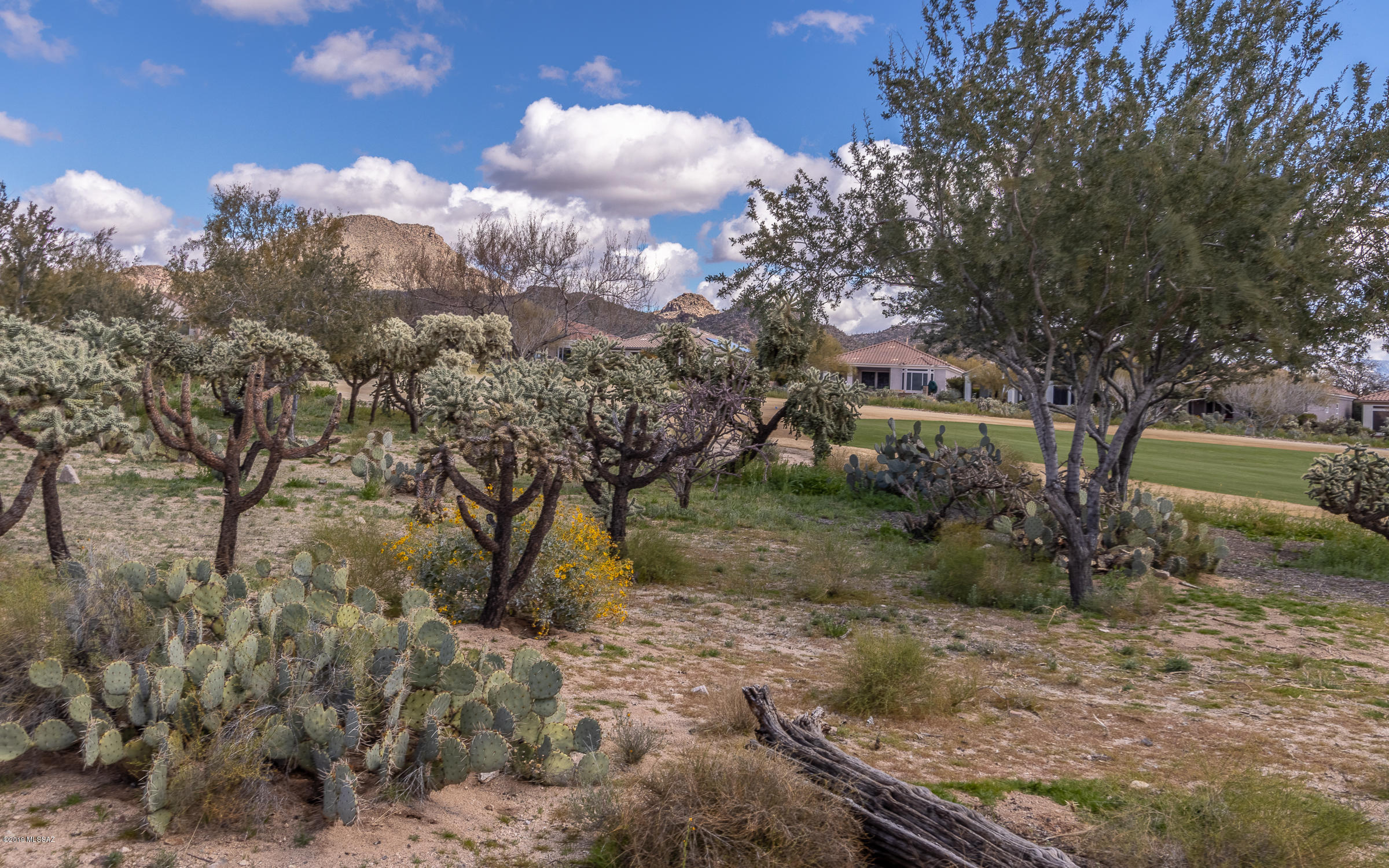 Heritage Highlands VI at Dove Mountain (977-1146) - Residential