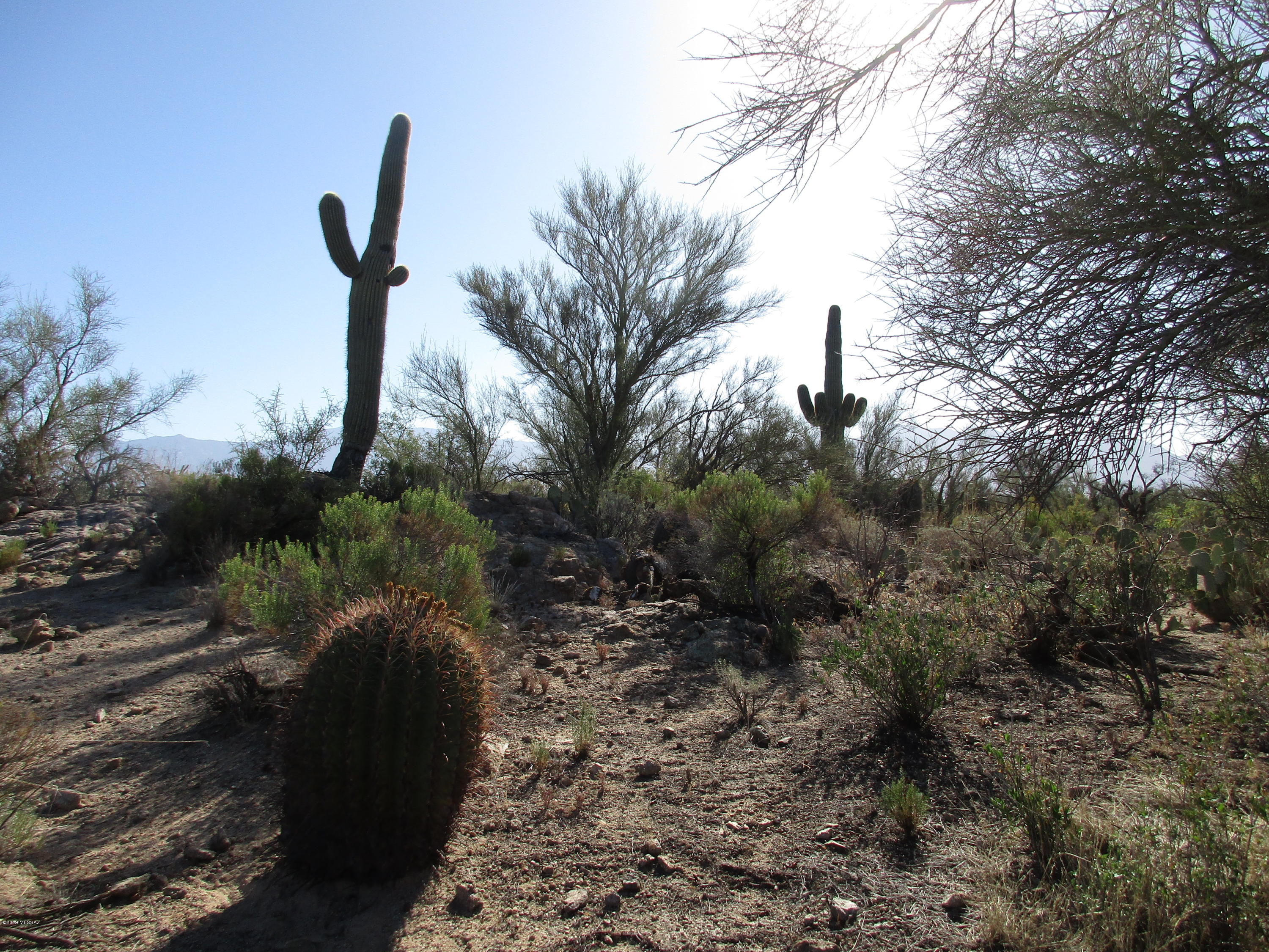 La Cholla Airpark - Land
