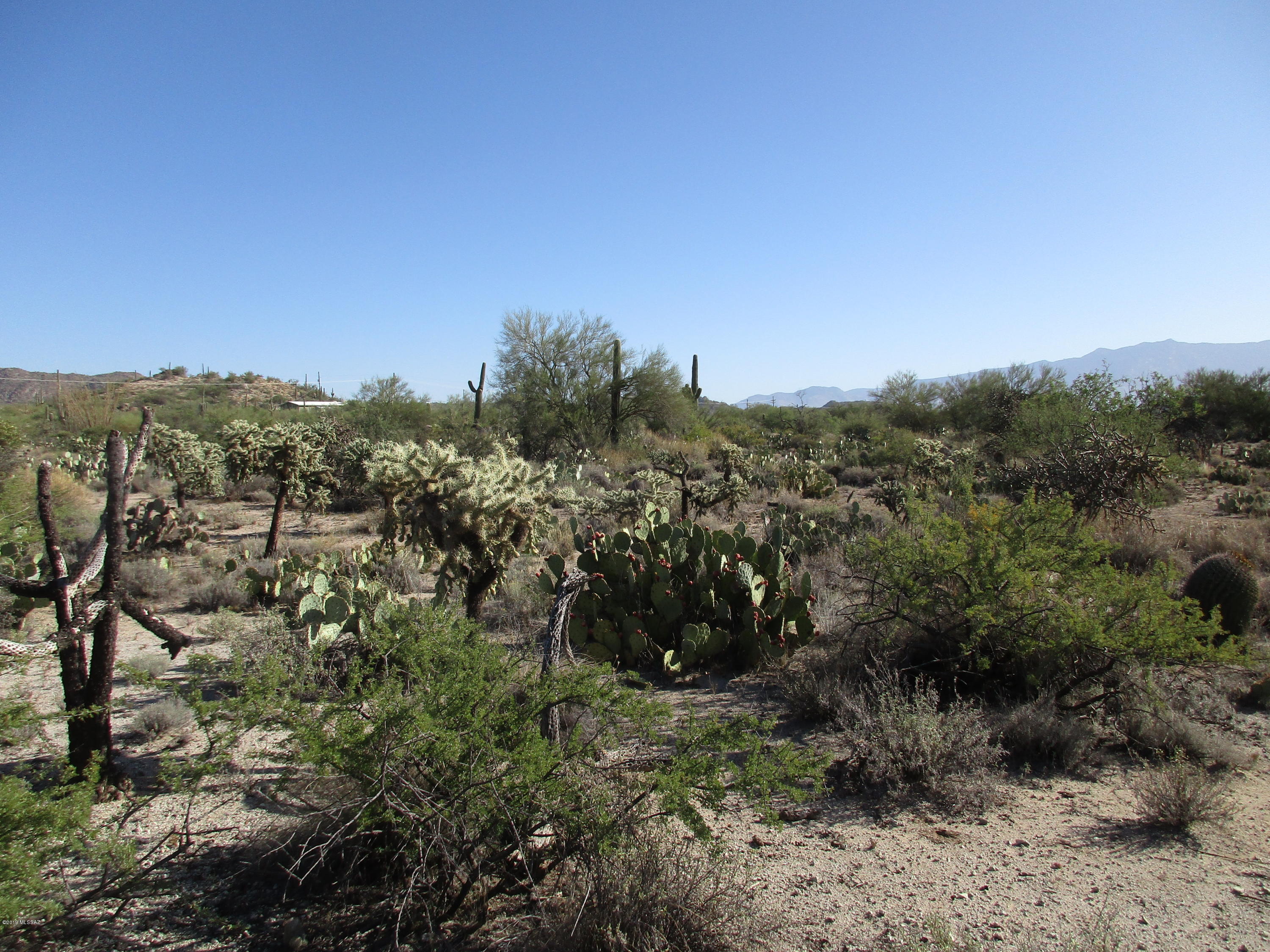 La Cholla Airpark - Land