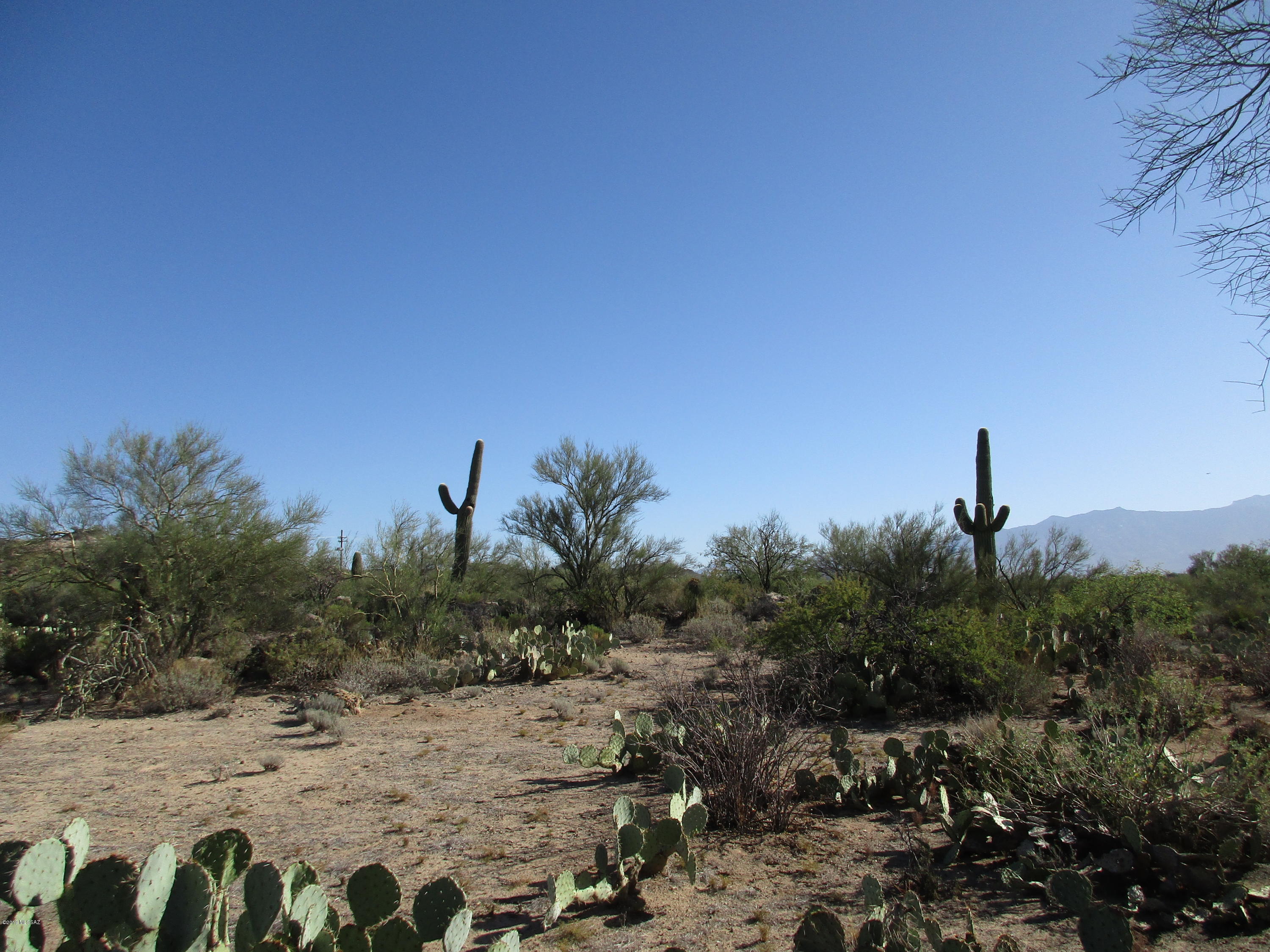 La Cholla Airpark - Land