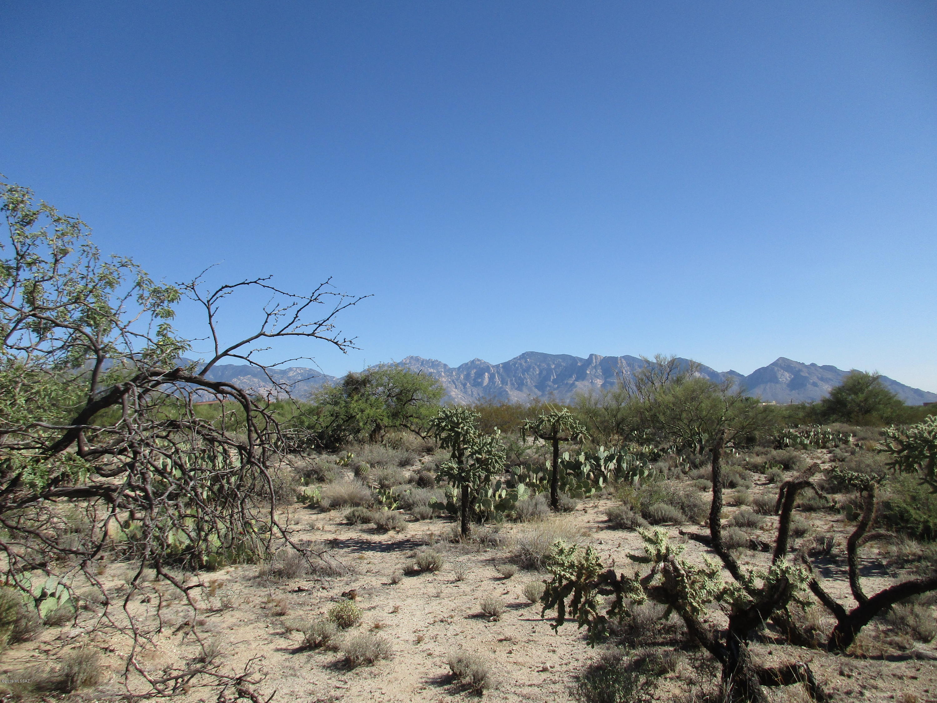 La Cholla Airpark - Land