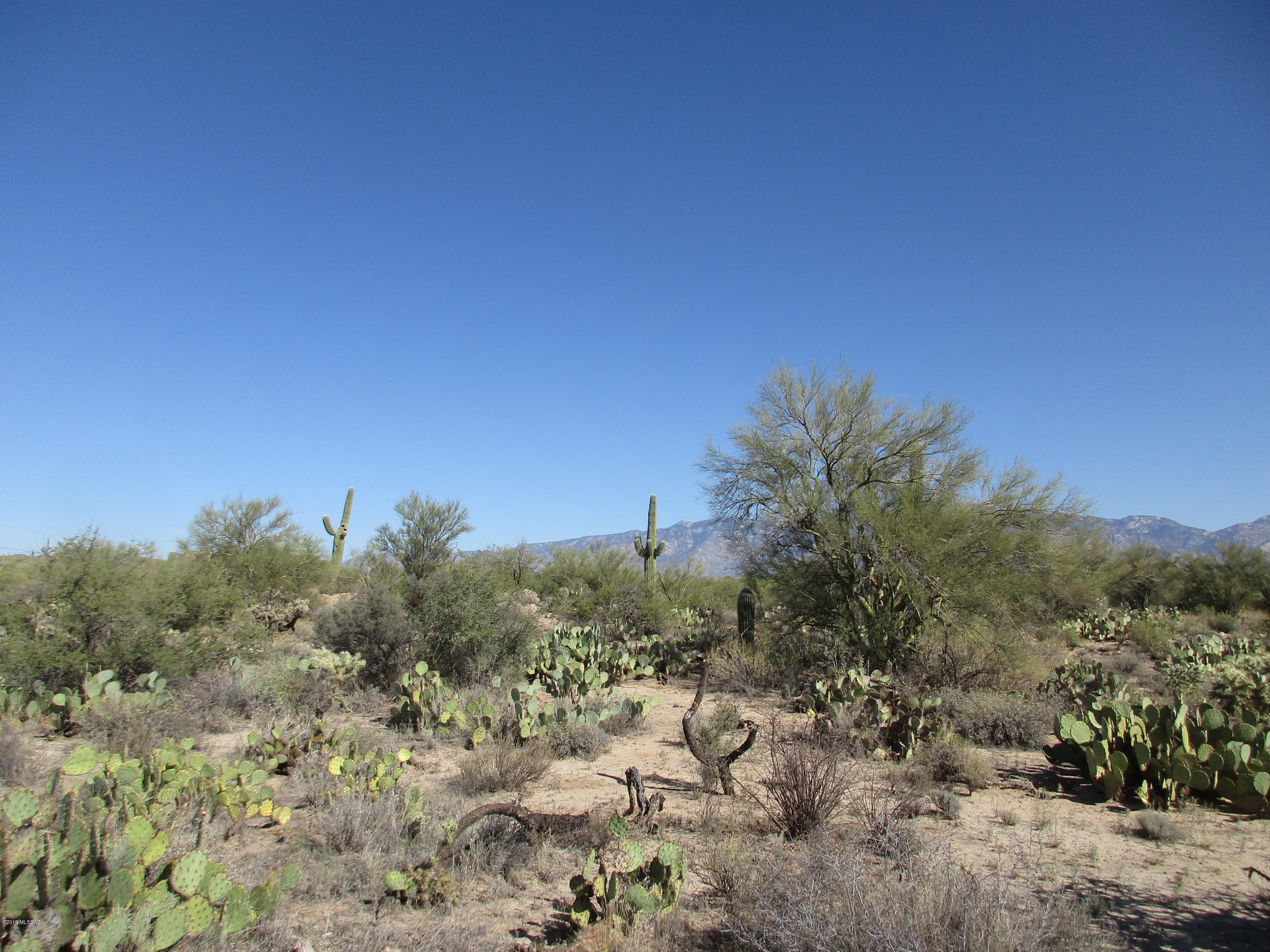 La Cholla Airpark - Land