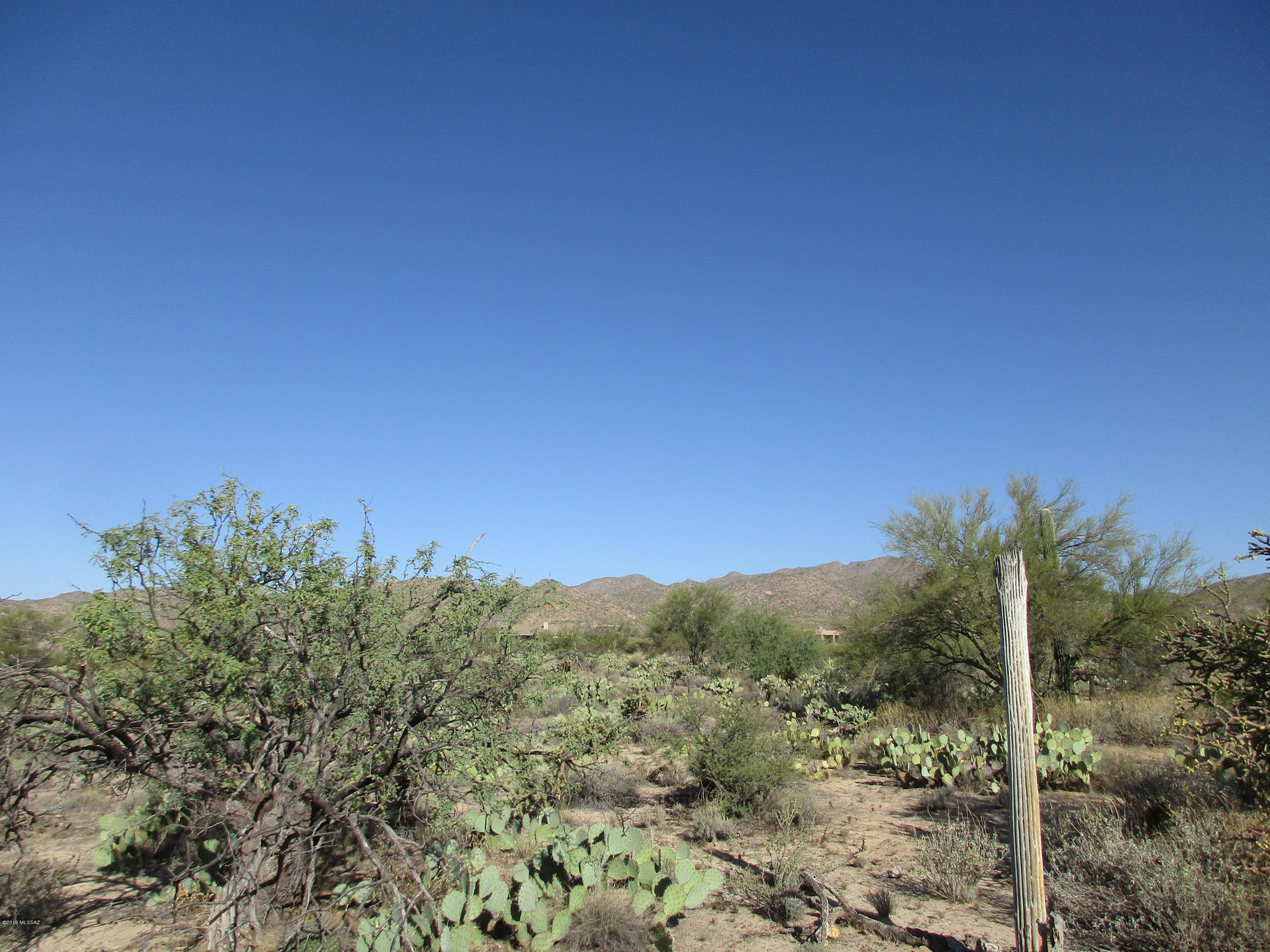 La Cholla Airpark - Land
