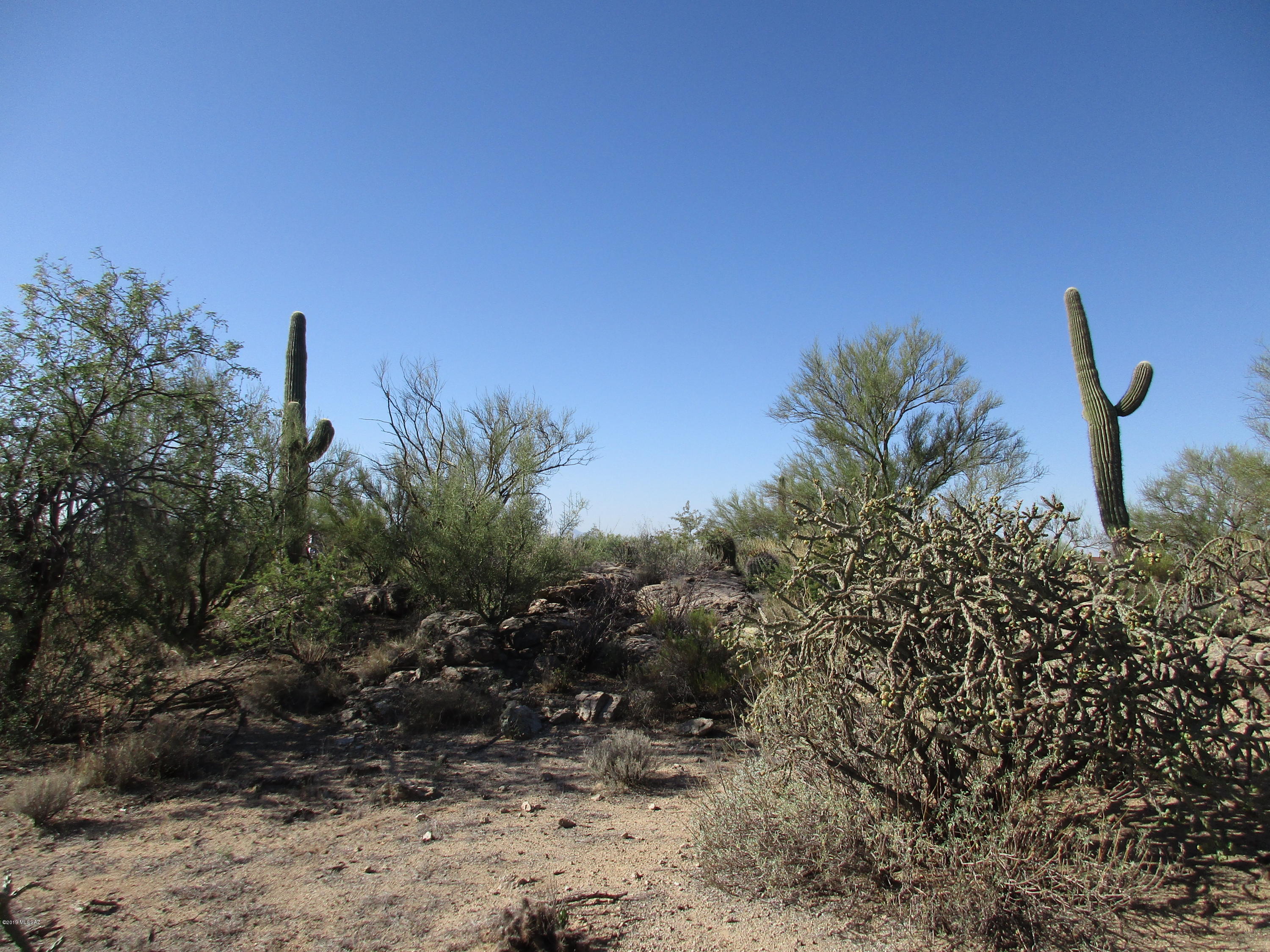 La Cholla Airpark - Land