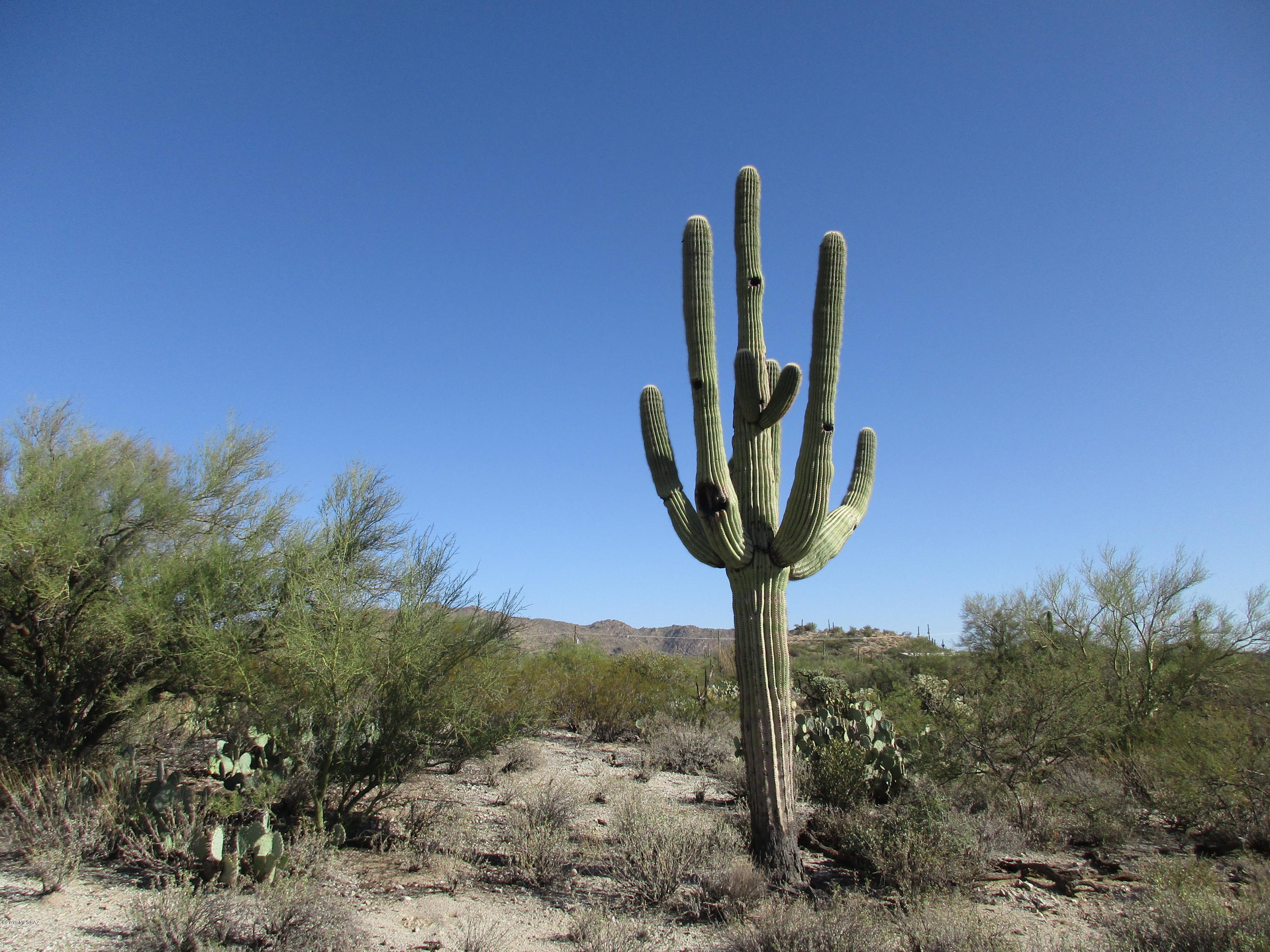 La Cholla Airpark - Land