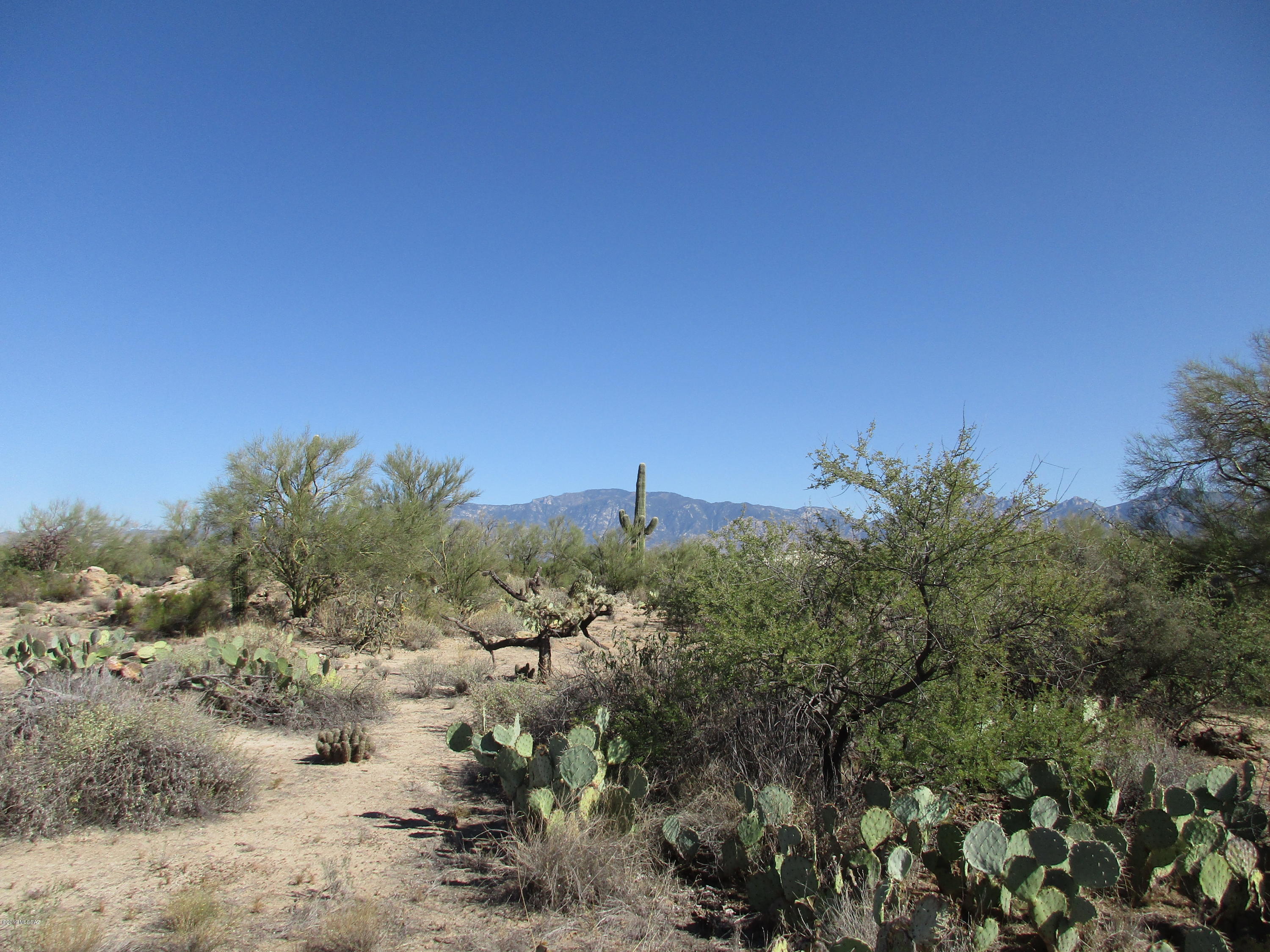 La Cholla Airpark - Land