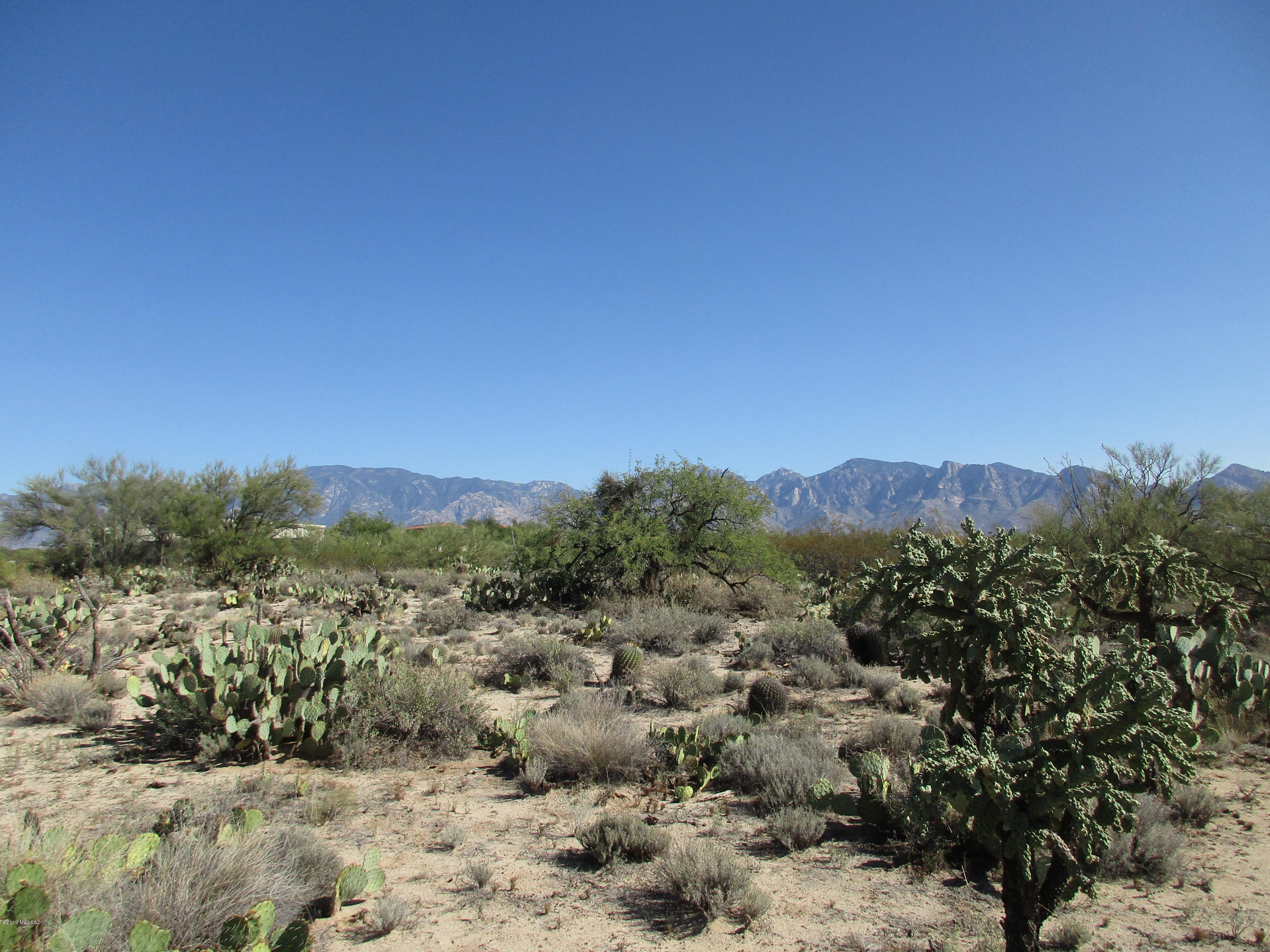 La Cholla Airpark - Land