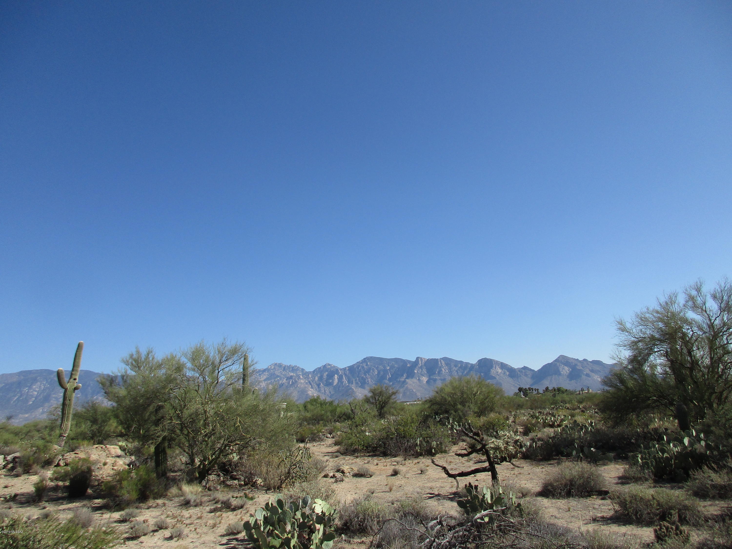 La Cholla Airpark - Land