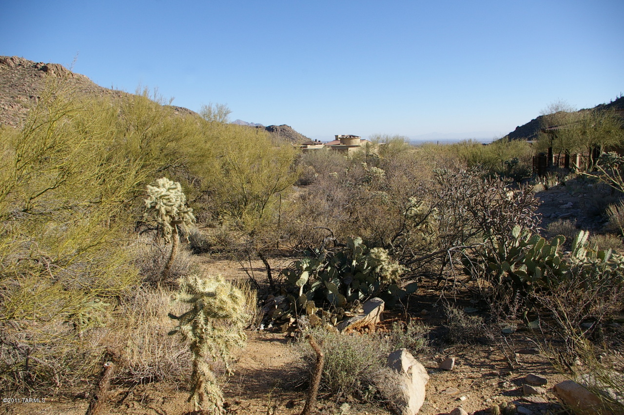 Canyon Pass At Dove Mountain(1-48) - Land