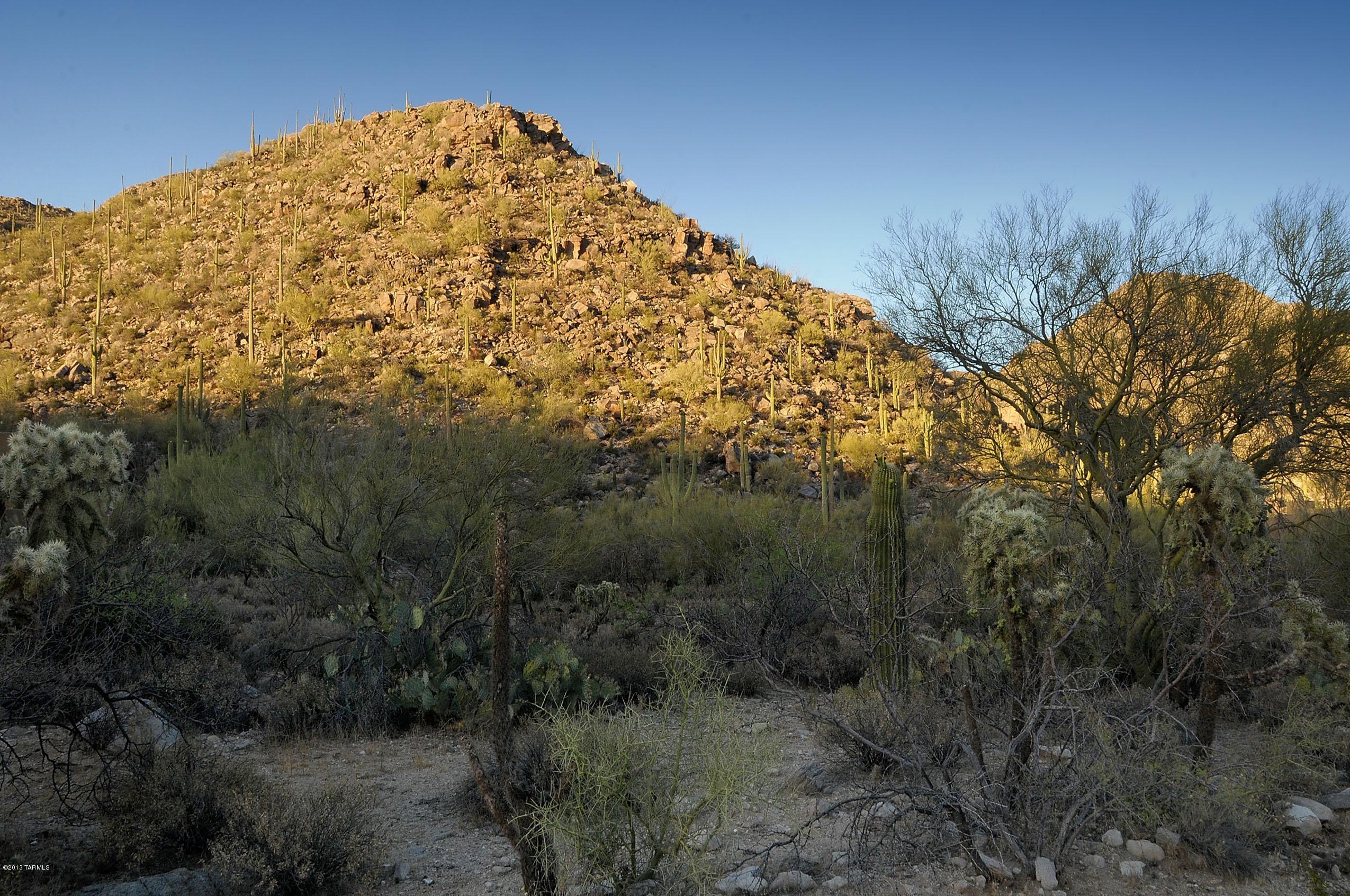 Canyon Pass At Dove Mountain(1-48) - Land