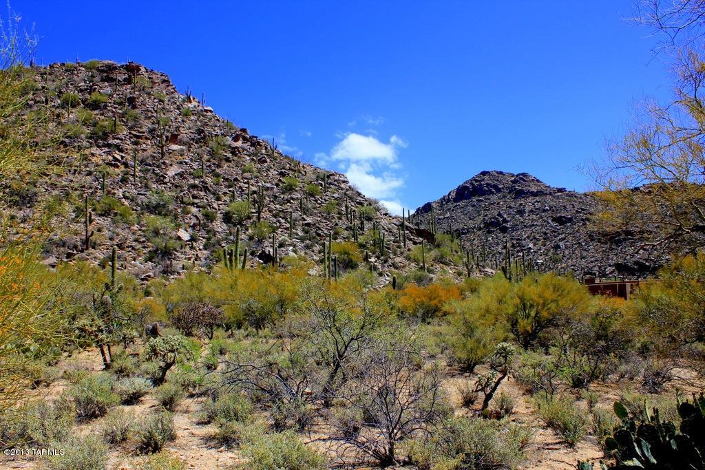 Canyon Pass At Dove Mountain(1-48) - Land