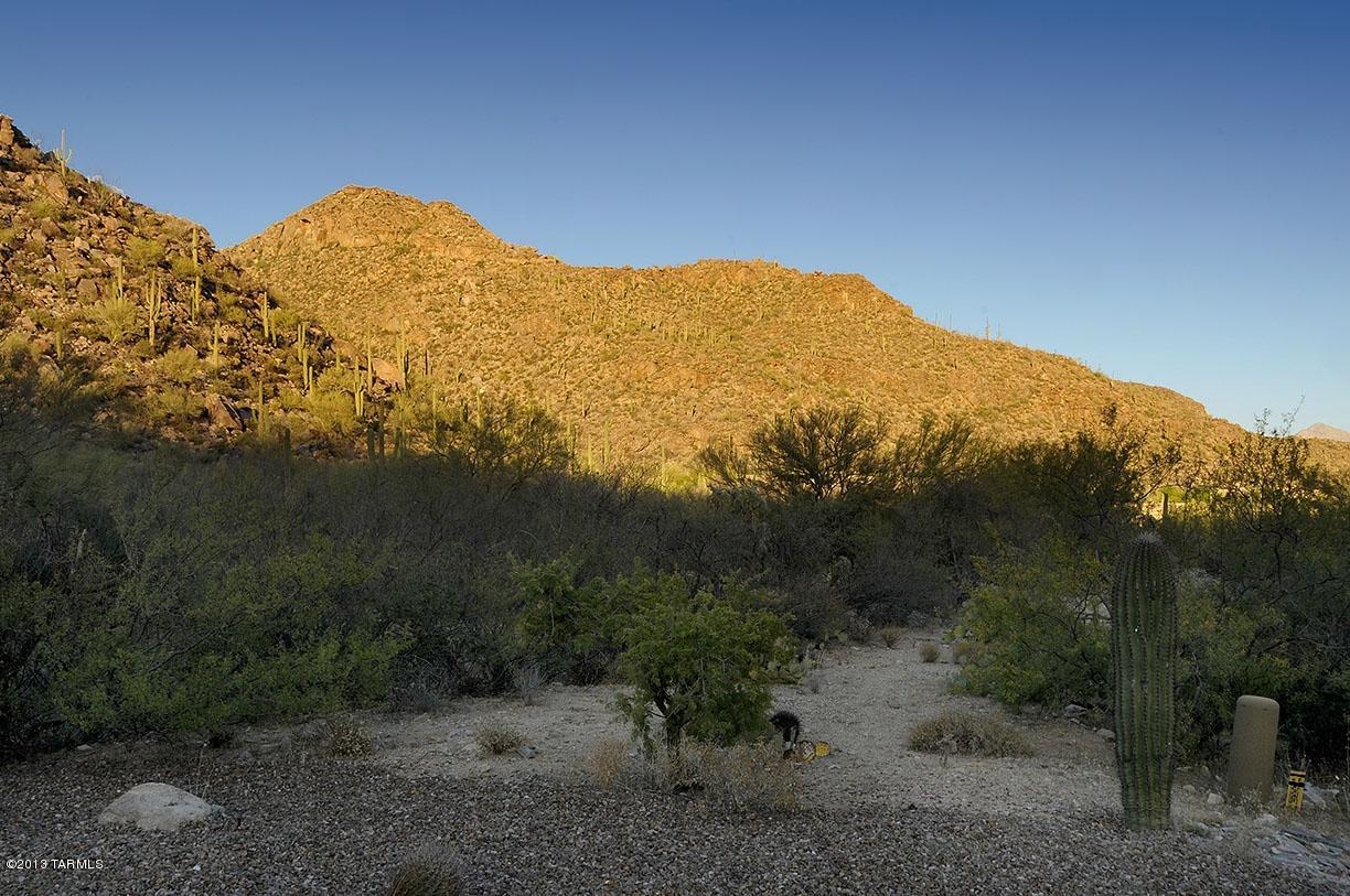Canyon Pass At Dove Mountain(1-48) - Land