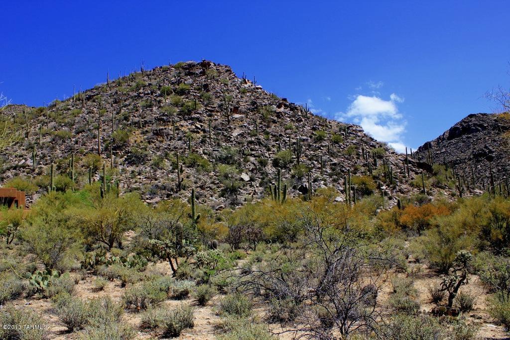Canyon Pass At Dove Mountain(1-48) - Land