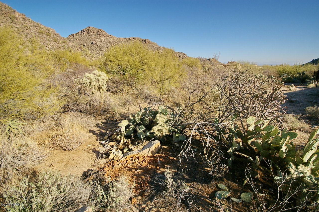 Canyon Pass At Dove Mountain(1-48) - Land