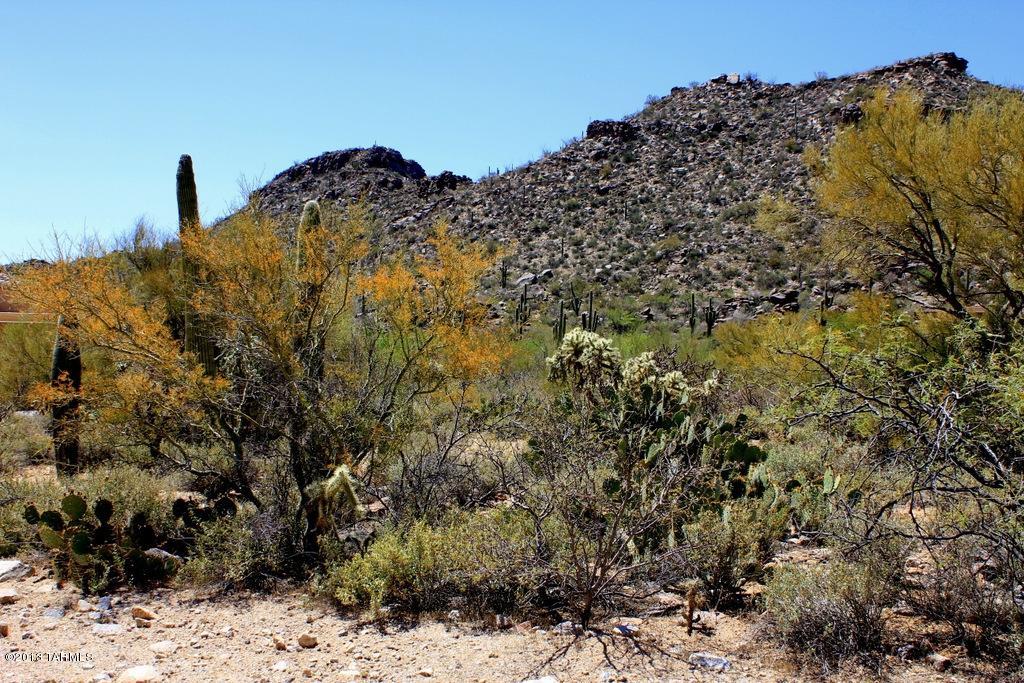 Canyon Pass At Dove Mountain(1-48) - Land