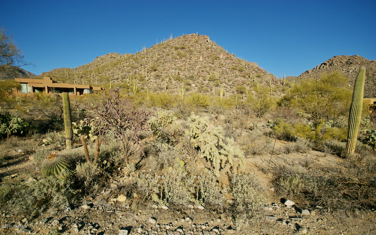 Canyon Pass At Dove Mountain(1-48) - Land