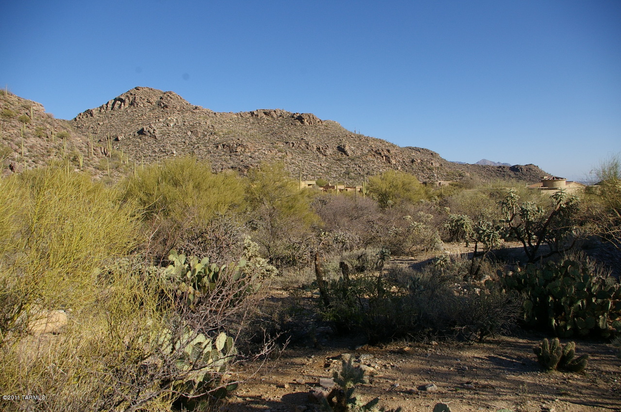 Canyon Pass At Dove Mountain(1-48) - Land