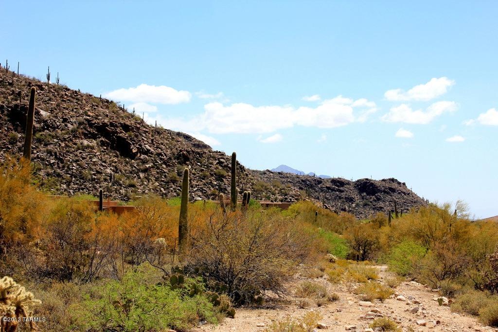 Canyon Pass At Dove Mountain(1-48) - Land