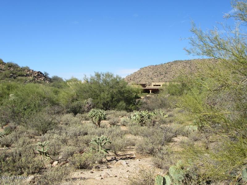 Canyon Pass At Dove Mountain(1-48) - Land