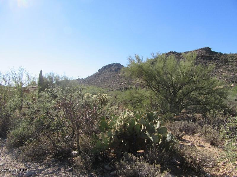 Canyon Pass At Dove Mountain(1-48) - Land