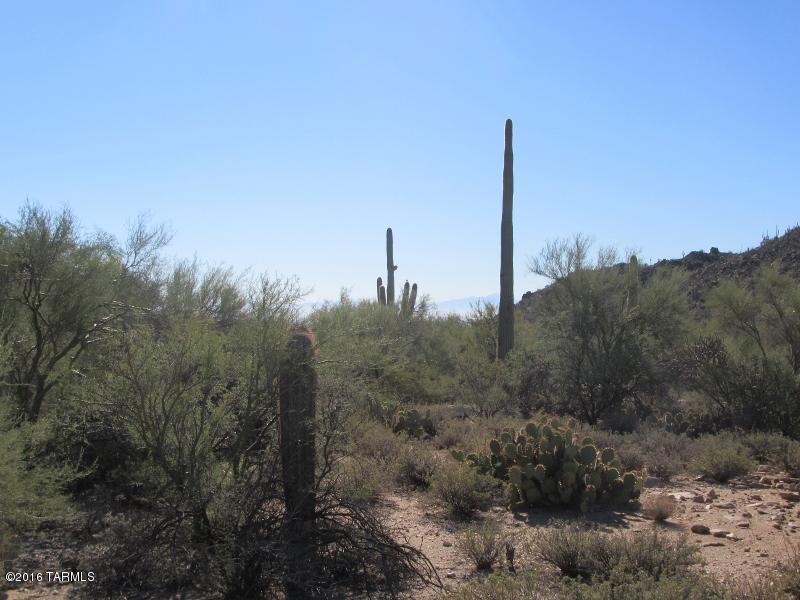 Canyon Pass At Dove Mountain(1-48) - Land