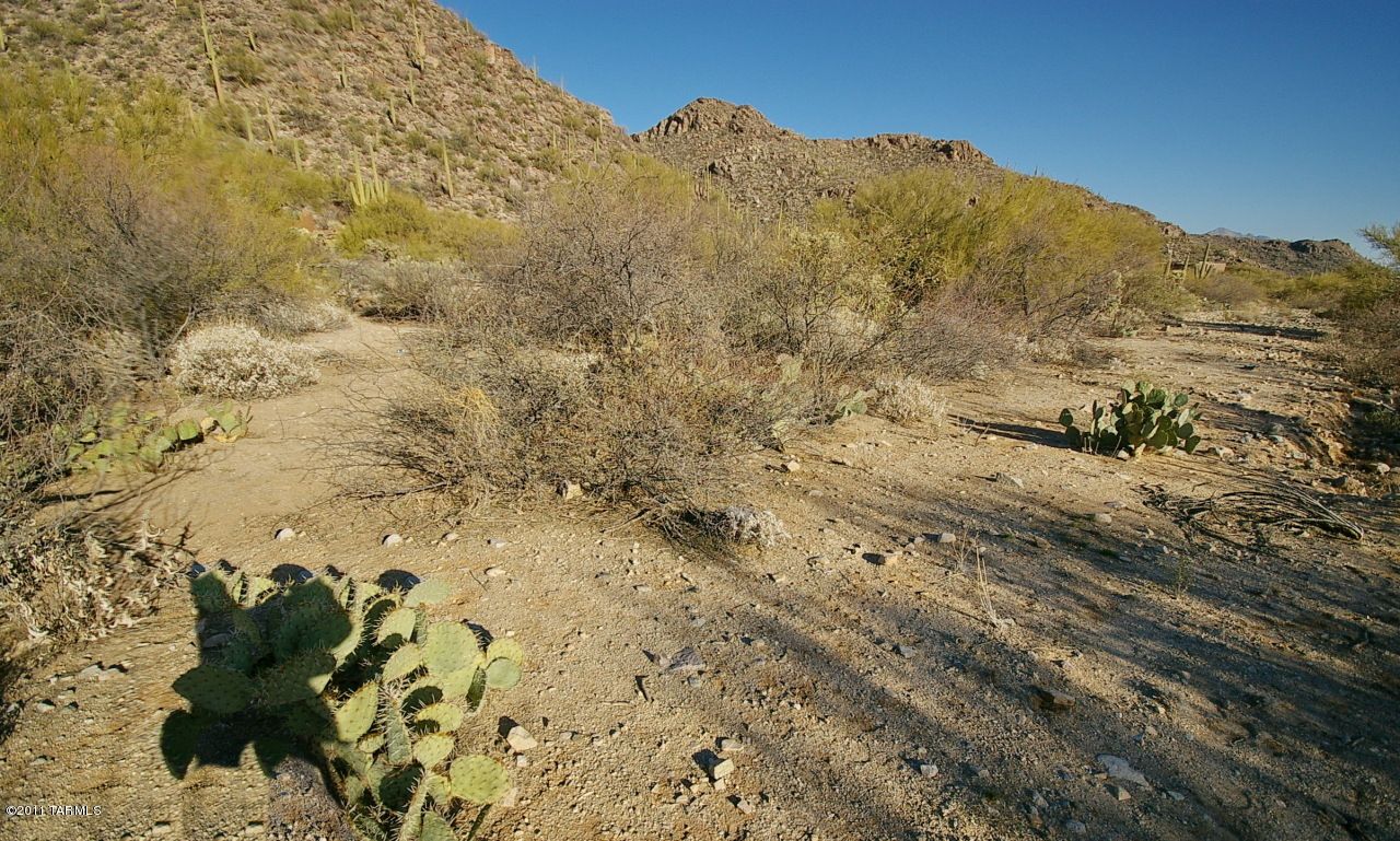 Canyon Pass At Dove Mountain(1-48) - Land