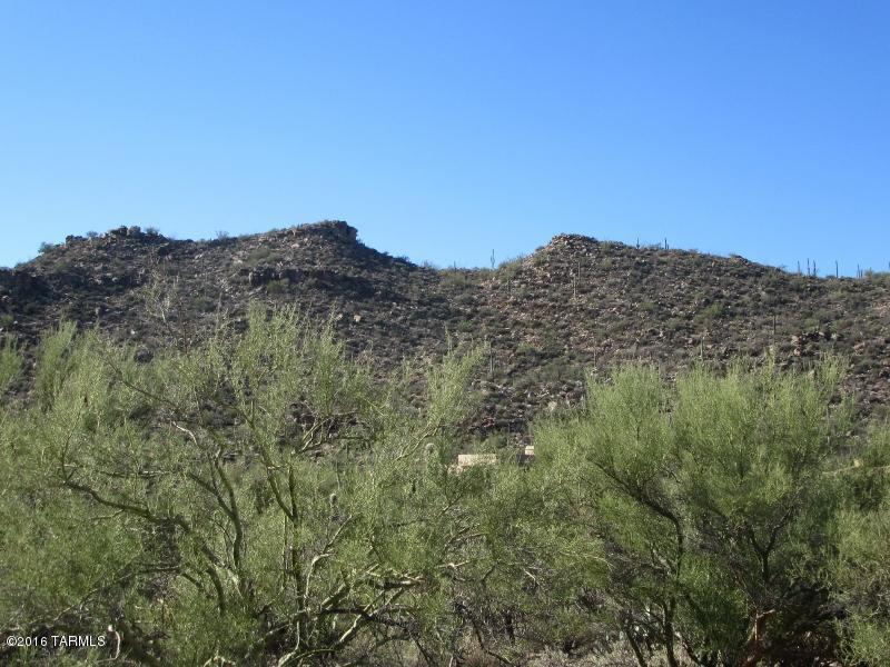 Canyon Pass At Dove Mountain(1-48) - Land