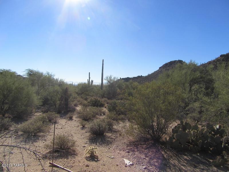 Canyon Pass At Dove Mountain(1-48) - Land