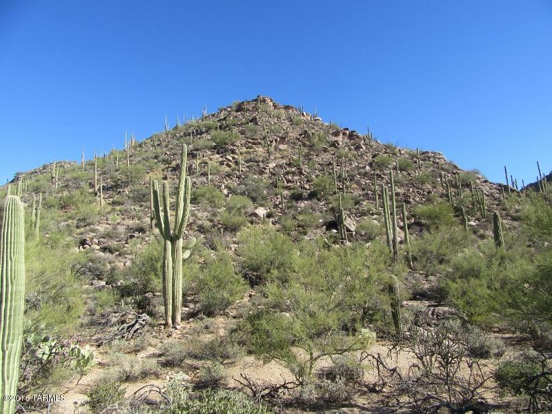 Canyon Pass At Dove Mountain(1-48) - Land