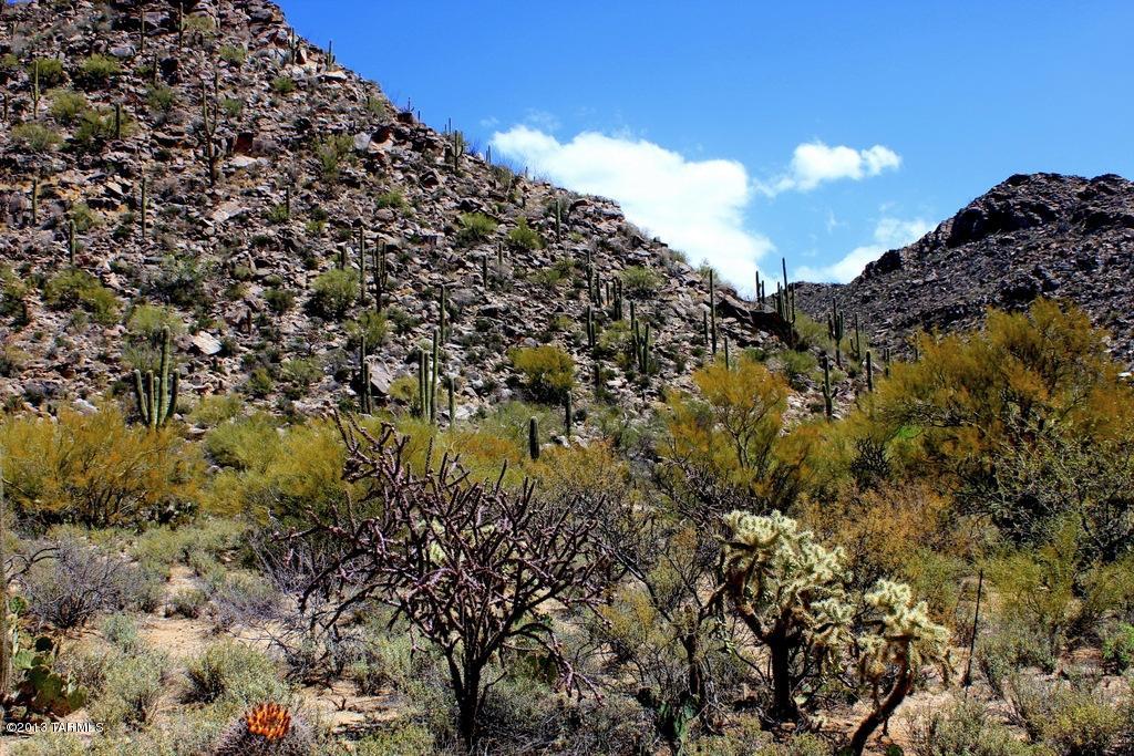 Canyon Pass At Dove Mountain(1-48) - Land