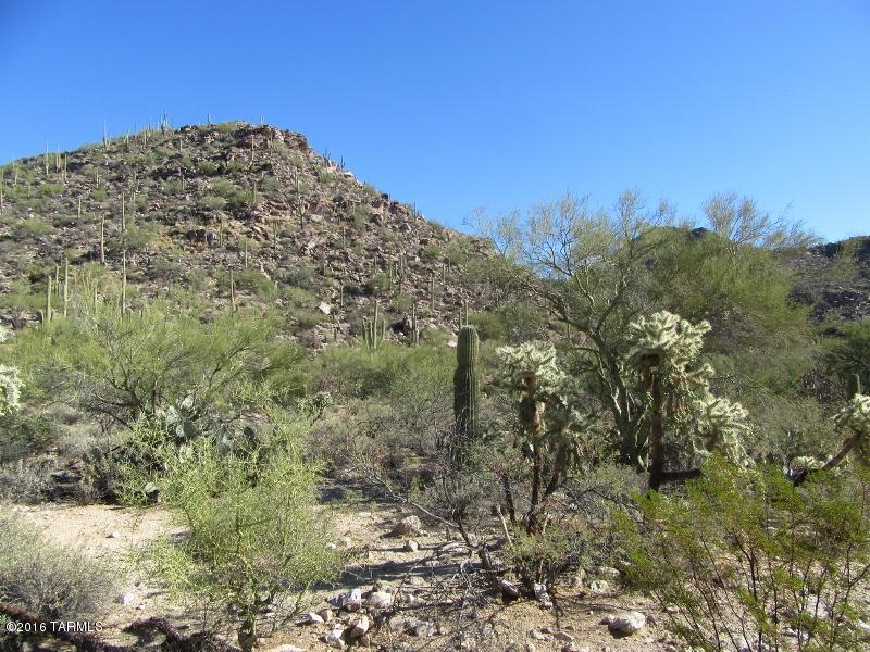 Canyon Pass At Dove Mountain(1-48) - Land