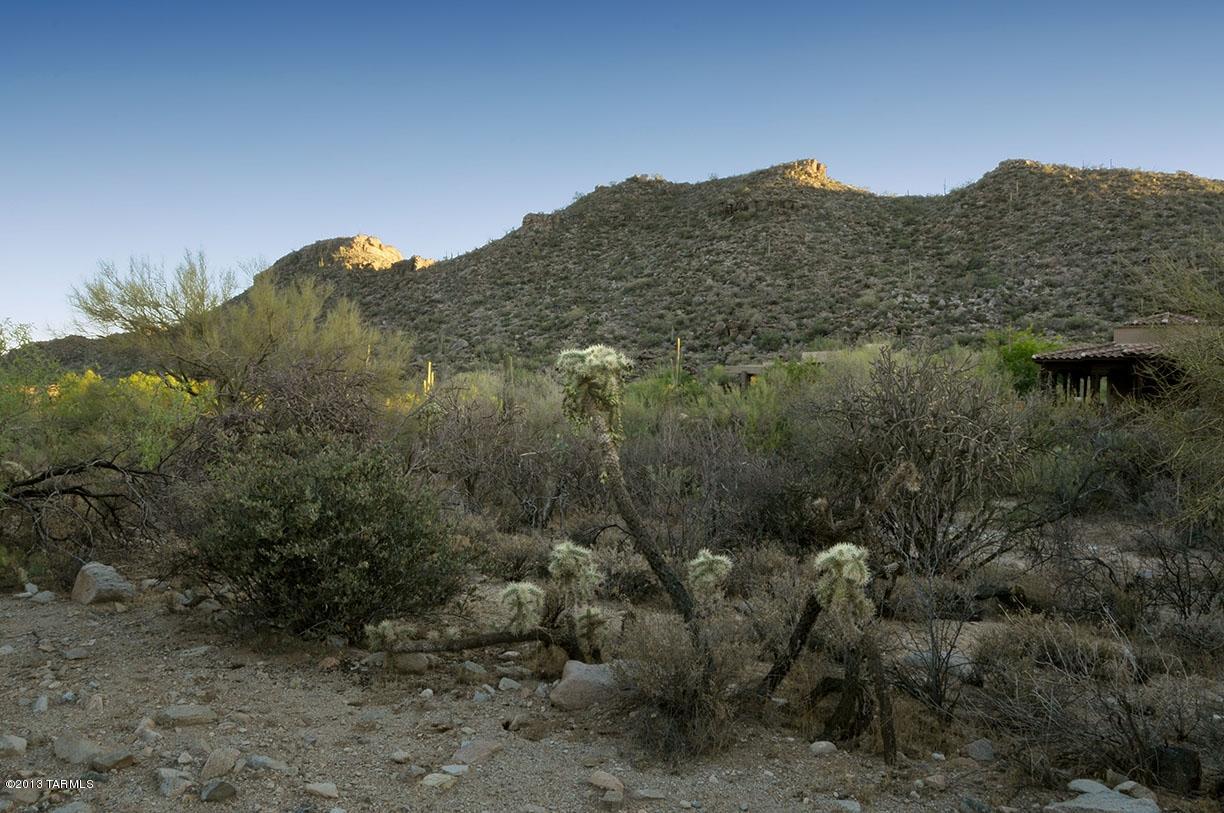Canyon Pass At Dove Mountain(1-48) - Land