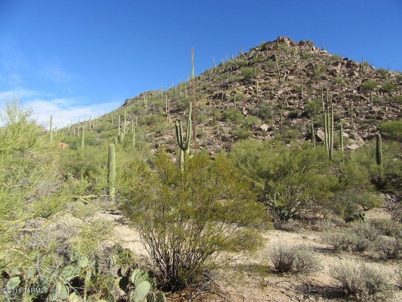 Canyon Pass At Dove Mountain(1-48) - Land