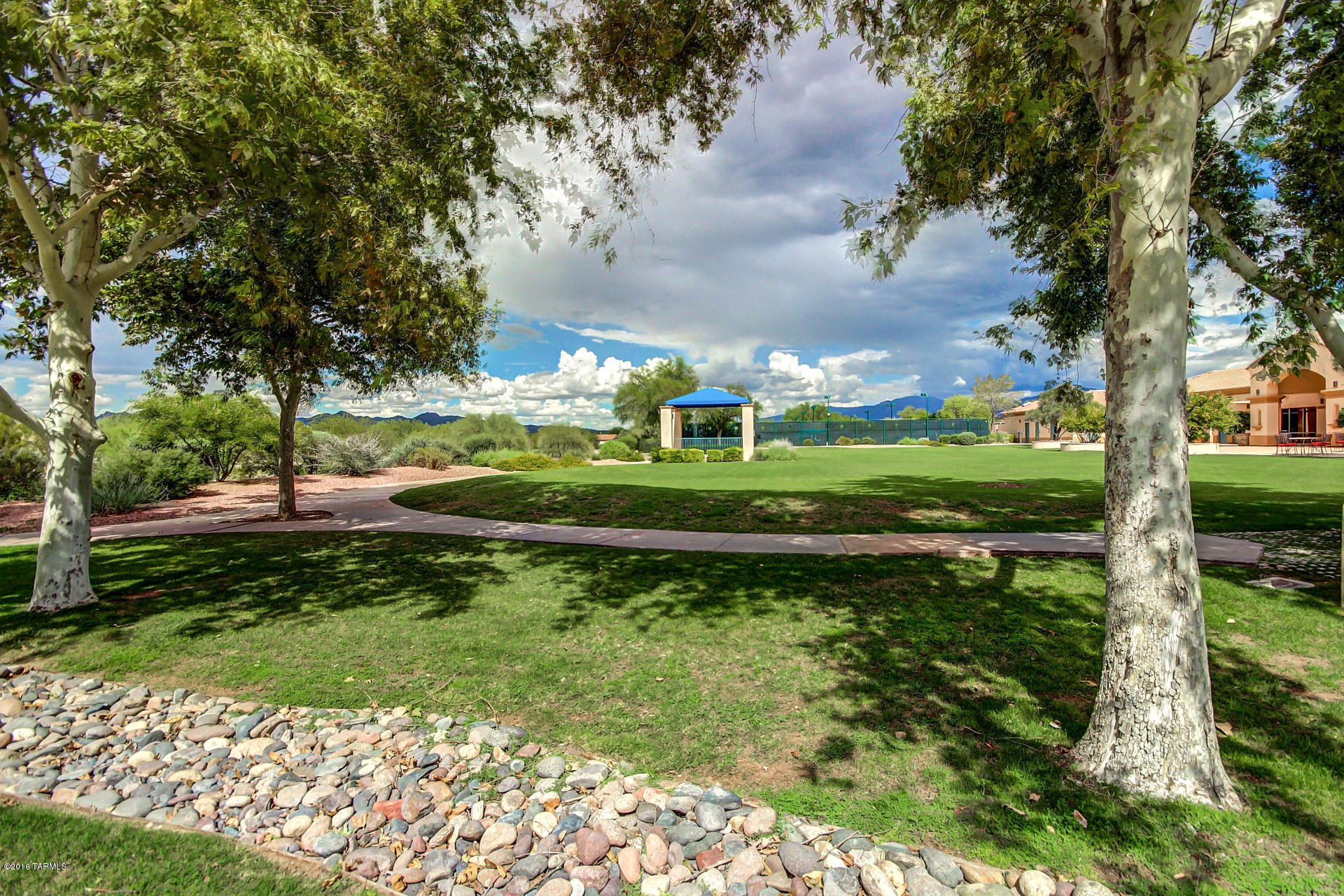Continental Ranch Sunflower - Residential