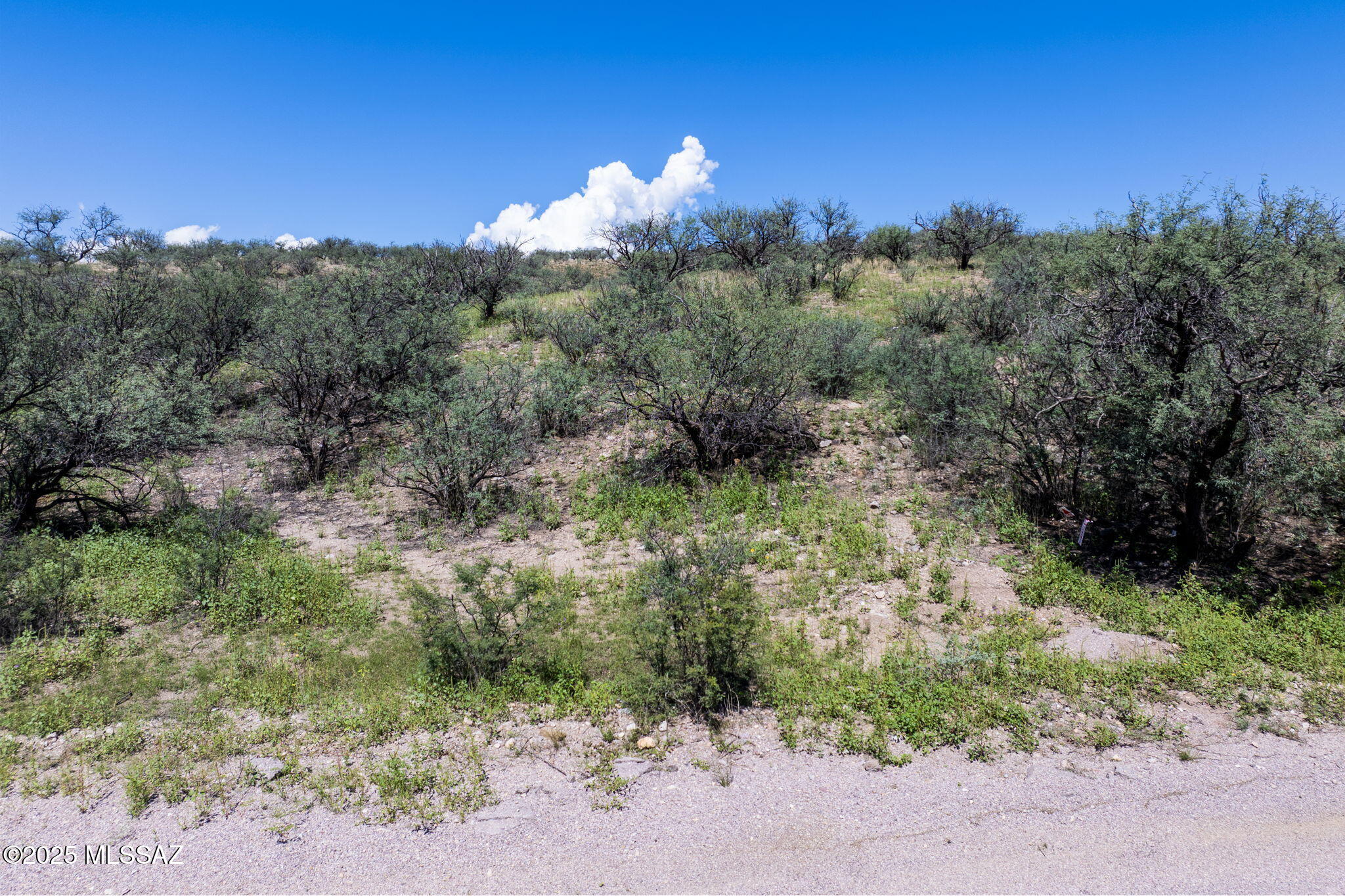 Rio Rico Ranchettes - Land
