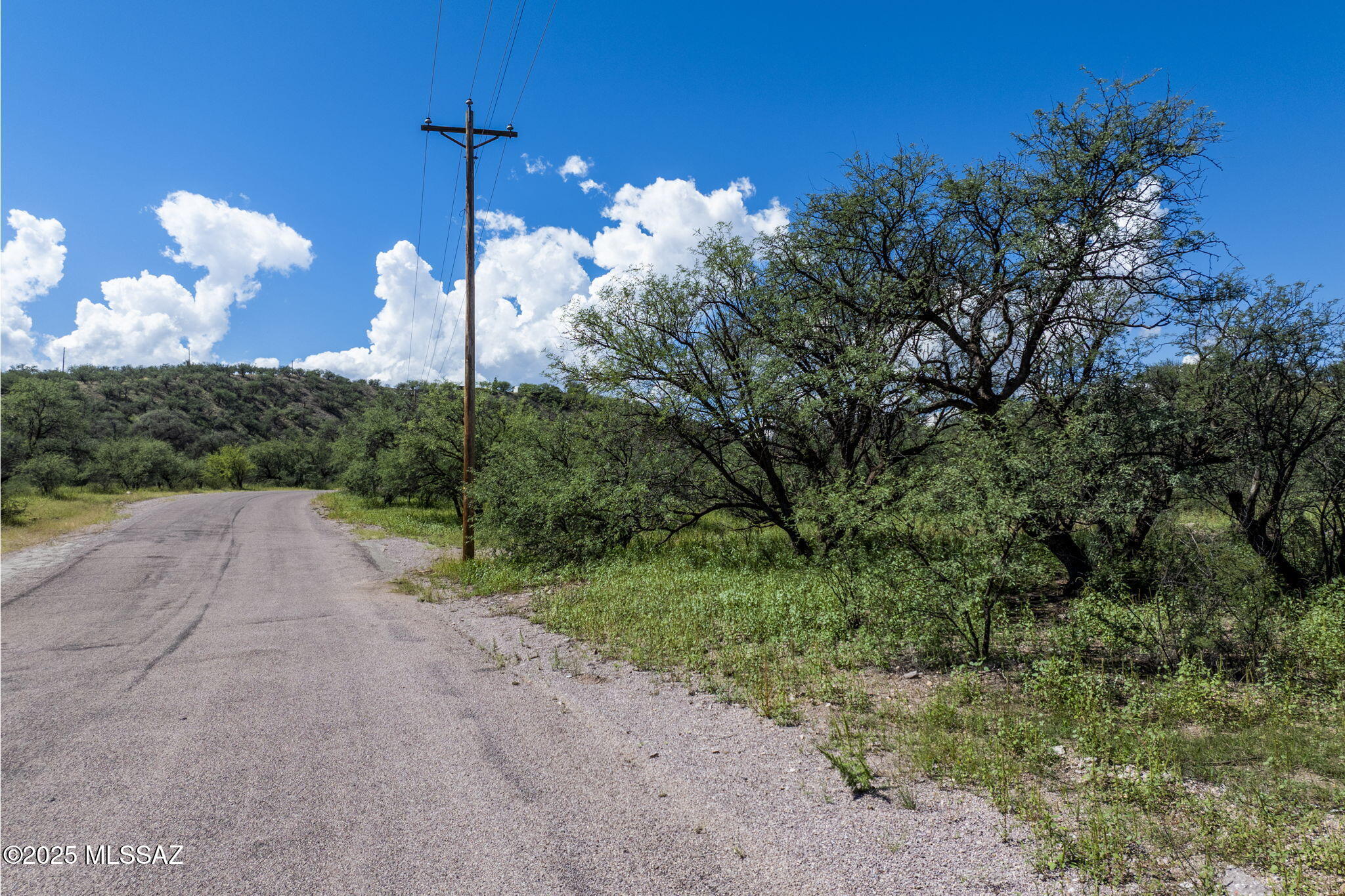 Rio Rico Ranchettes - Land