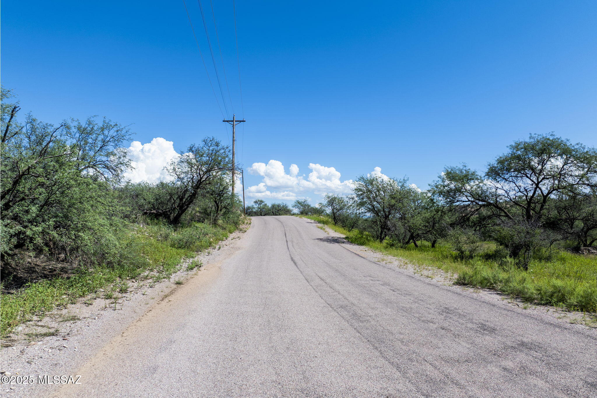 Rio Rico Ranchettes - Land
