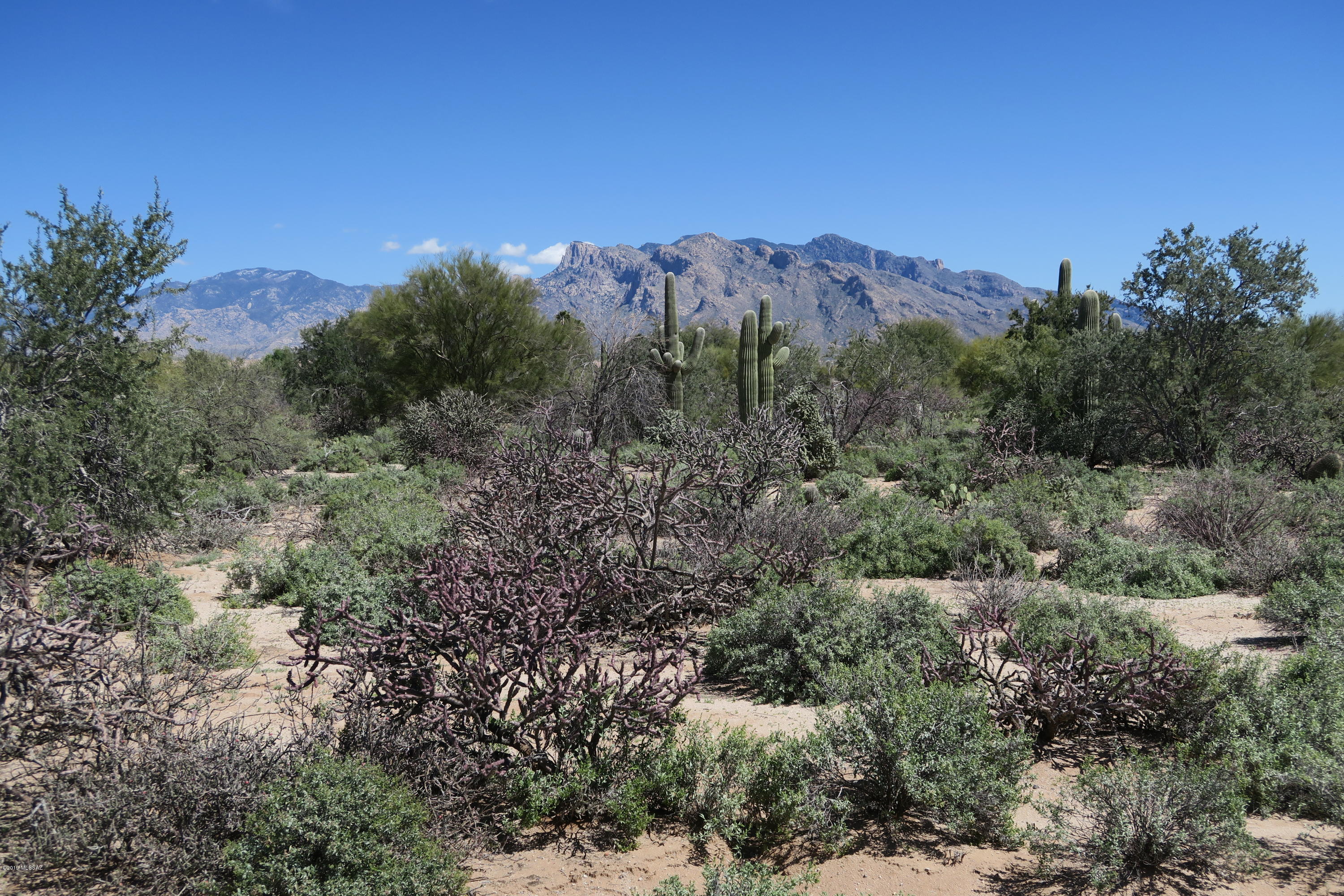 Private secluded lot in gated community of custom built homes with access to the OMNI golf course and facilities.  Mountain Views of Catalinas and NE rear yard orientation.  Abundant, lush mature vegetation and saguaro cacti cover entire lot. All underground utilities and paved streets.