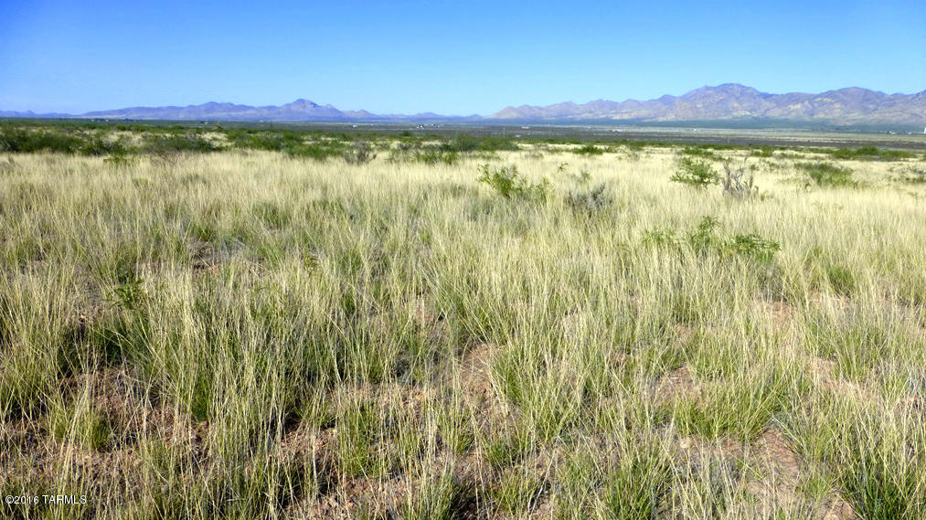 Out Of Pima County - Land