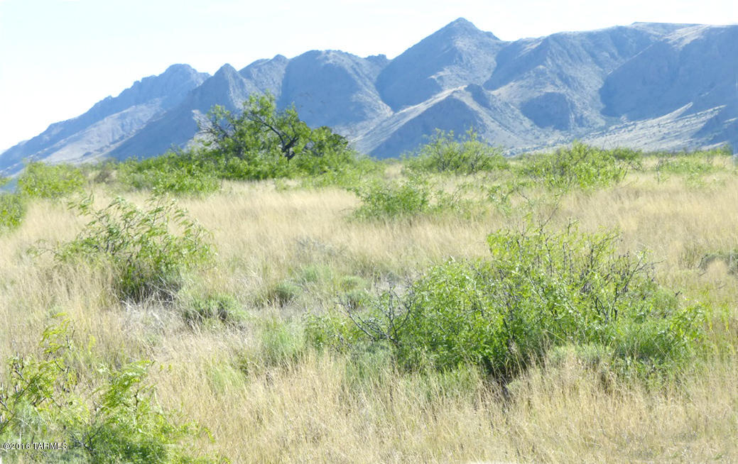 Out Of Pima County - Land