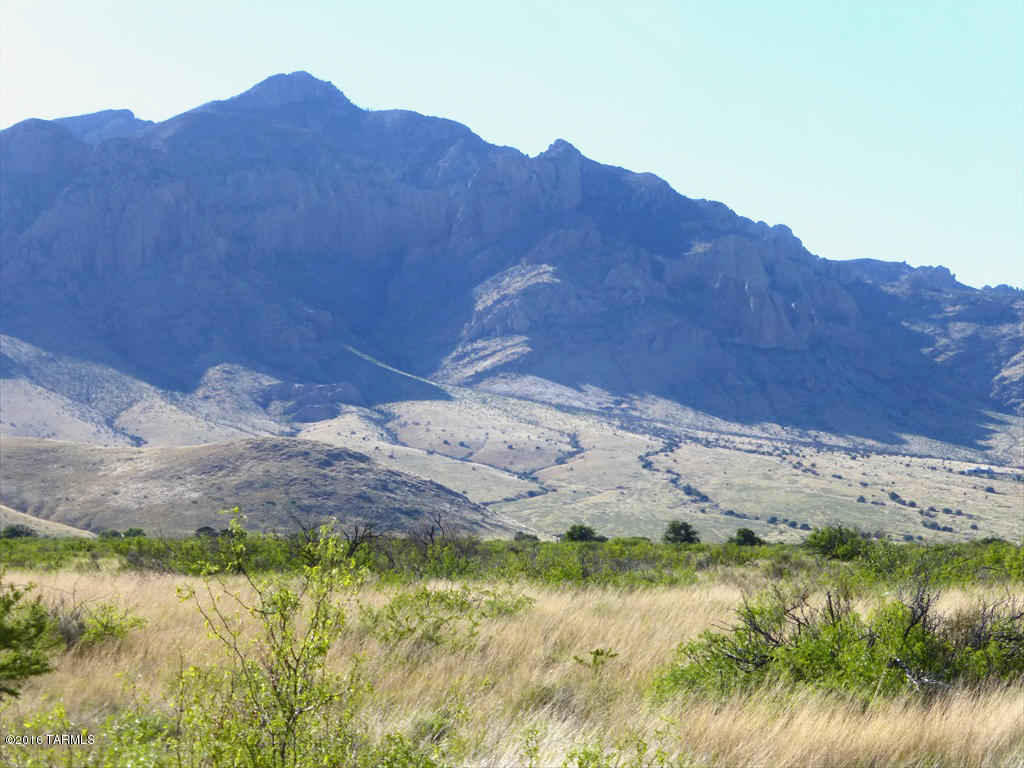 Level parcel, grazing land with mountain views, lots of potential for horses and your country-living home, on or off the grid. Owner will carry with 50% down, 5 yr term, 6.5%.  In the valley between the Chiricahuas and New Mexico's Peloncillo mts., the  perfect Covid-29 retreat! Put in an orchard, create your own wildlife sanctuary, or just put up a hammock, kick back and watch the hummingbirds! DSL & landline on east property line, power is approximately 1300 feet away to the east. Drill a well, install septic.There are 40' ranch easements around the boundaries so your cowboy neighbors can move cattle around, so fence that far inside the property line. Portal and Rodeo have cafes, post office, convenience stores, library, UPS, FedEx deliver here, US mail comes to boxes along Stateline Rd.